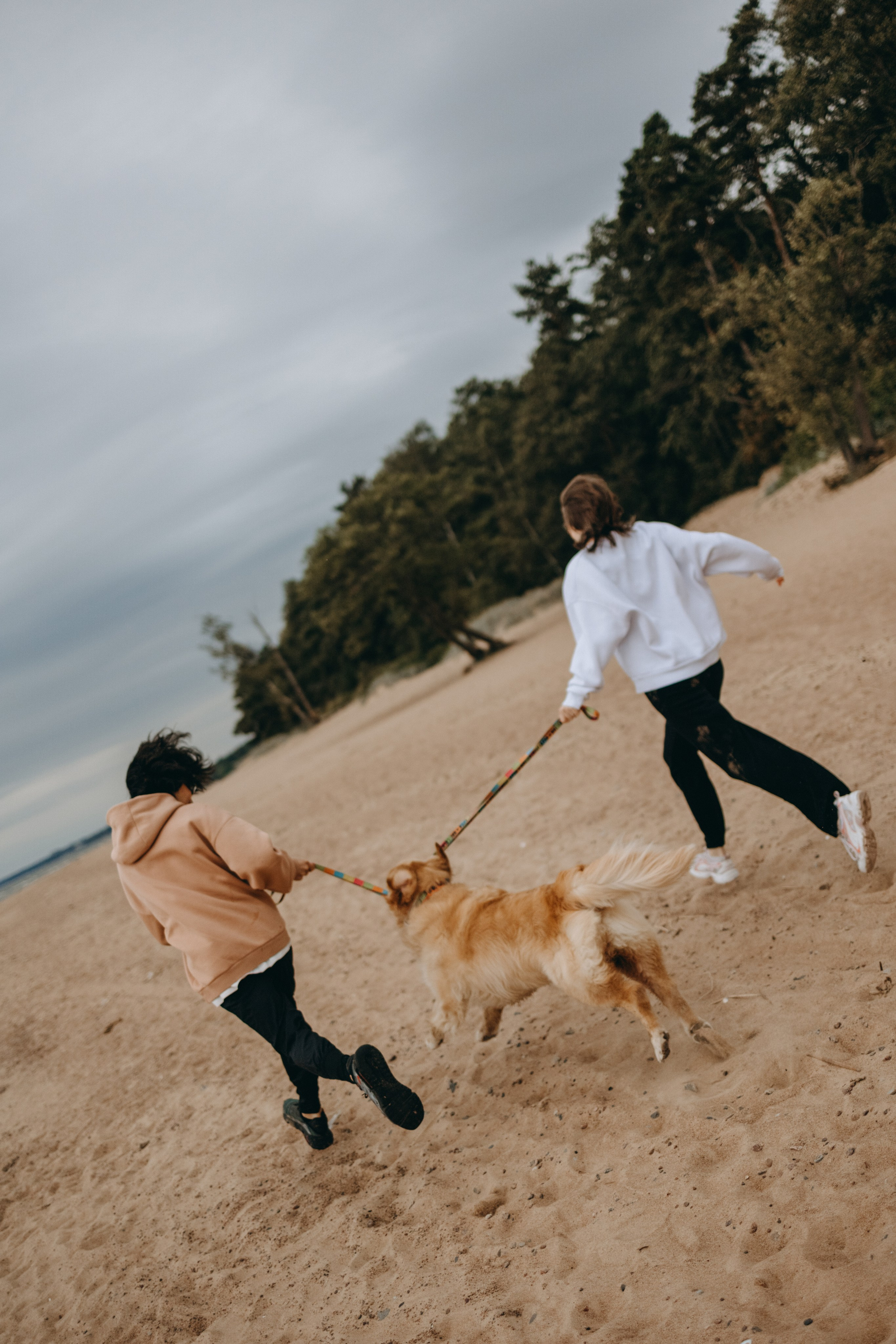 Фоси и его семьи. Фотограф — Анималист | Санкт-Петербург
