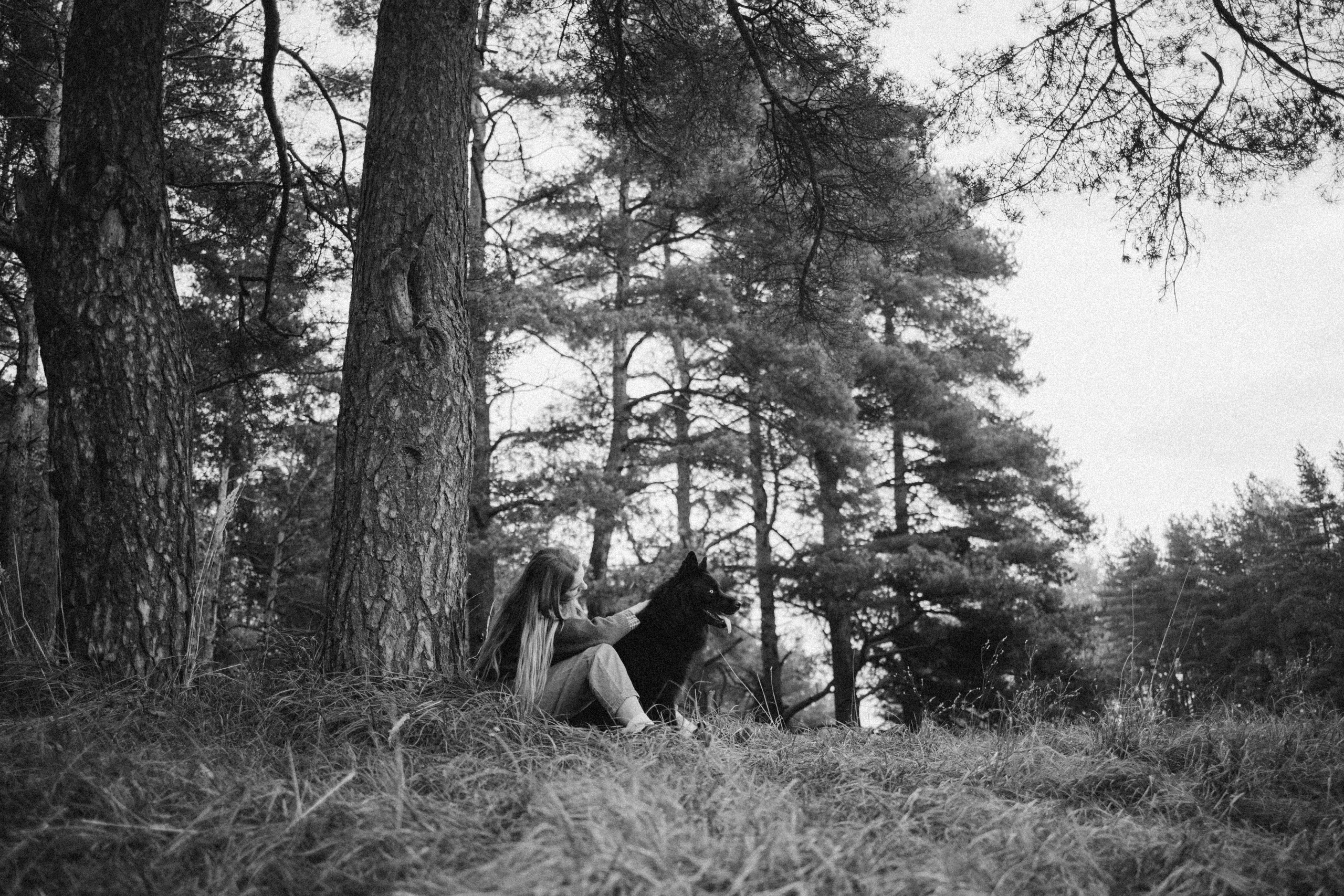 Лора и Джанго. Фотограф — Анималист | Санкт-Петербург