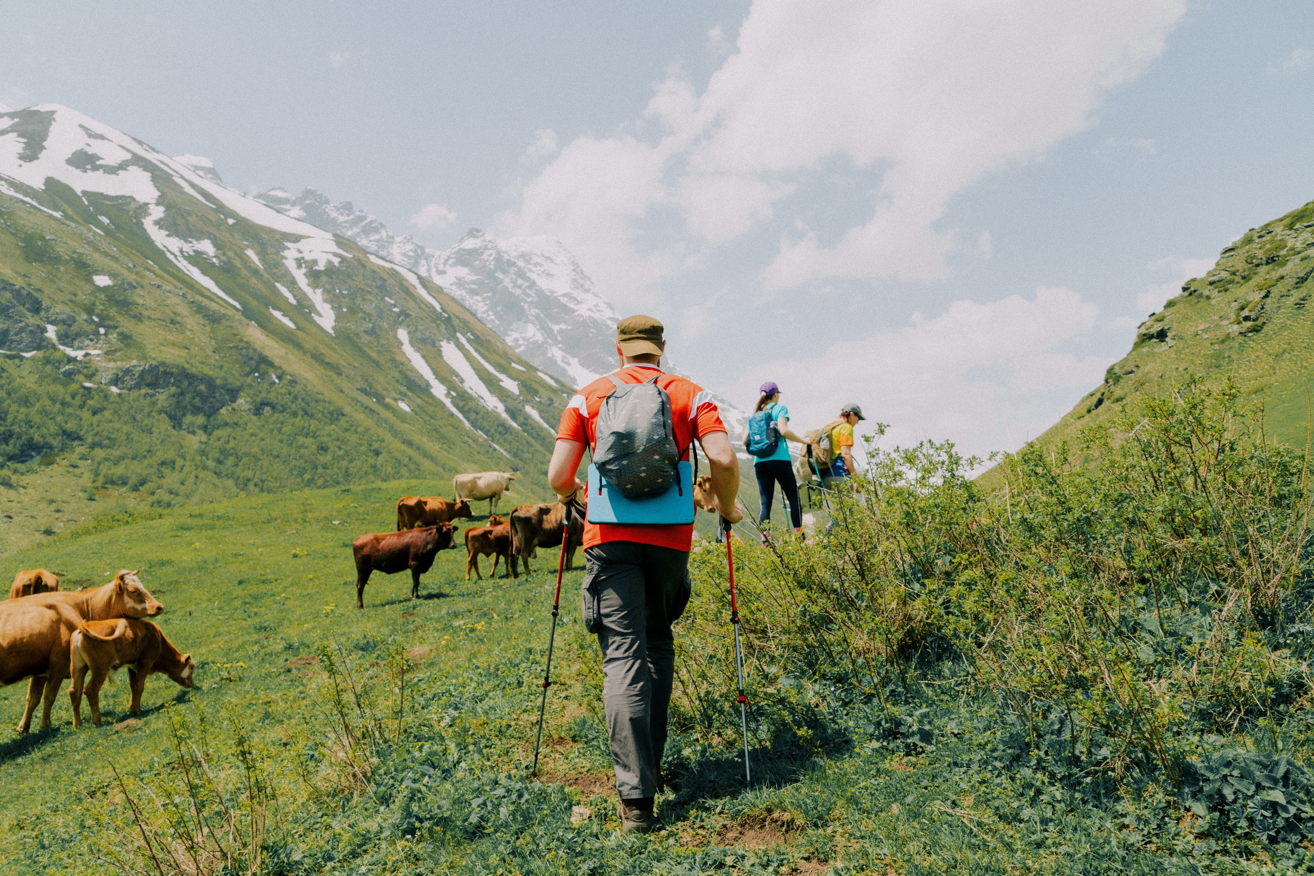 Дигория. Фотограф Санкт-Петербург Макарова Дарья