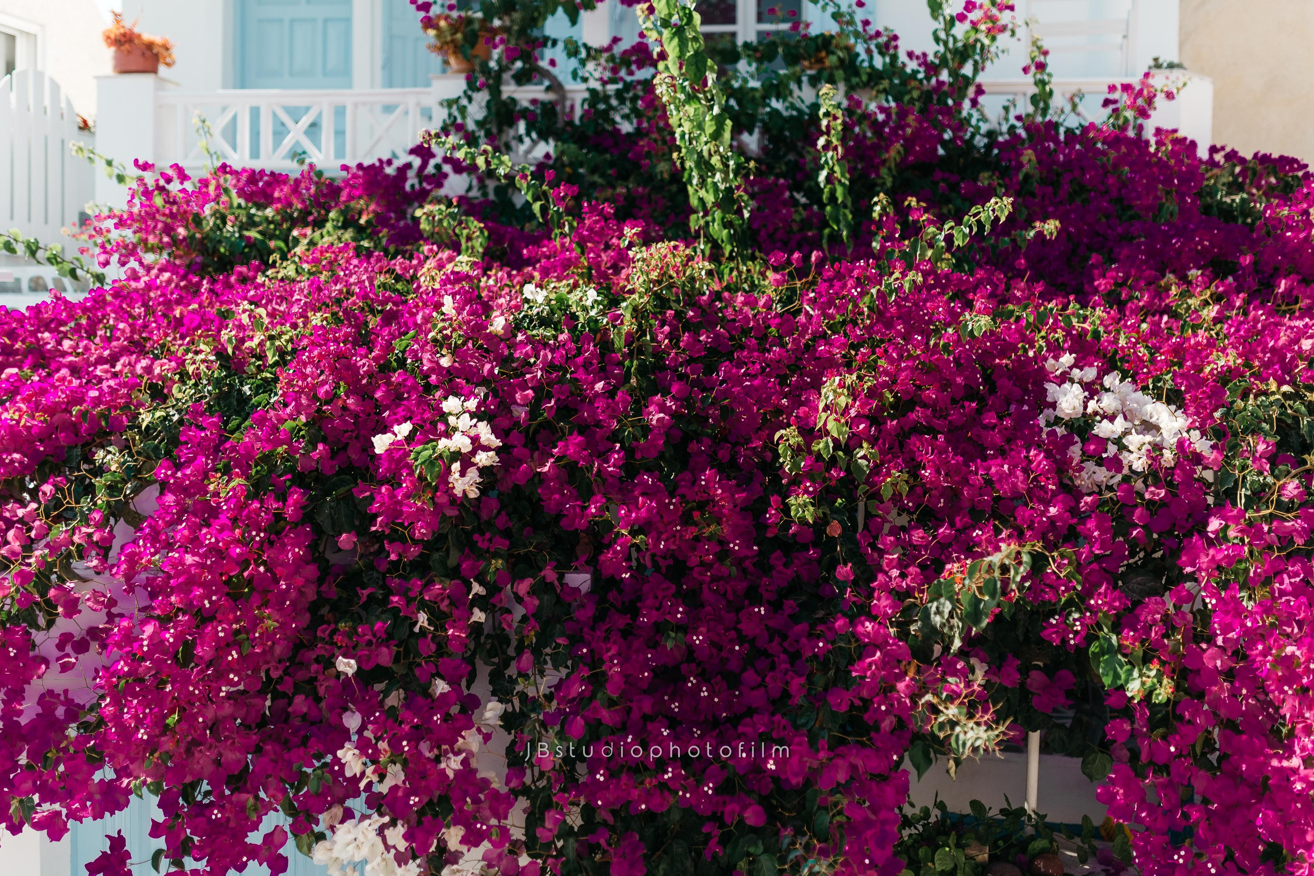 Контакты. Photographer Videographer Filmmaker| Фотограф Видеограф Фильммейкер