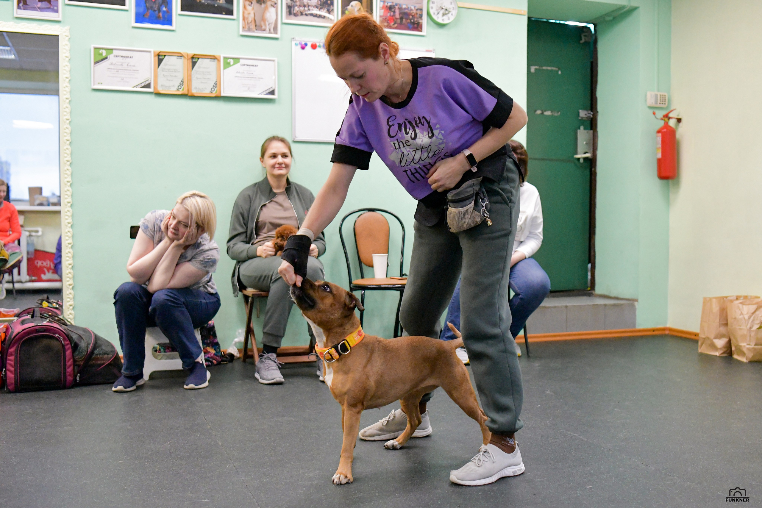 Кинологический клуб «Бодрый хвост». Свой взгляд через объектив