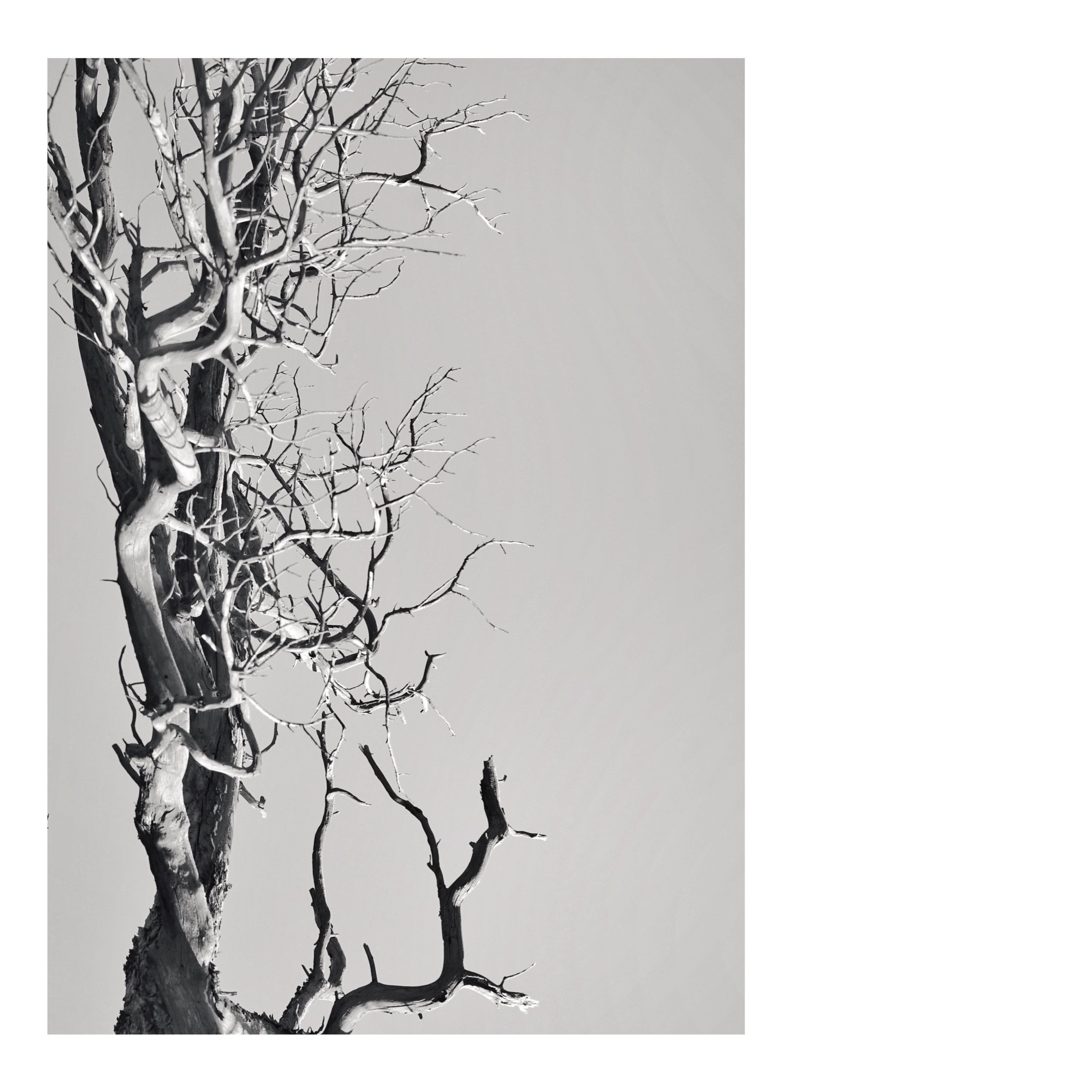 2022. Тащилин Сергей. Фотографии. Жизнь. Хобби