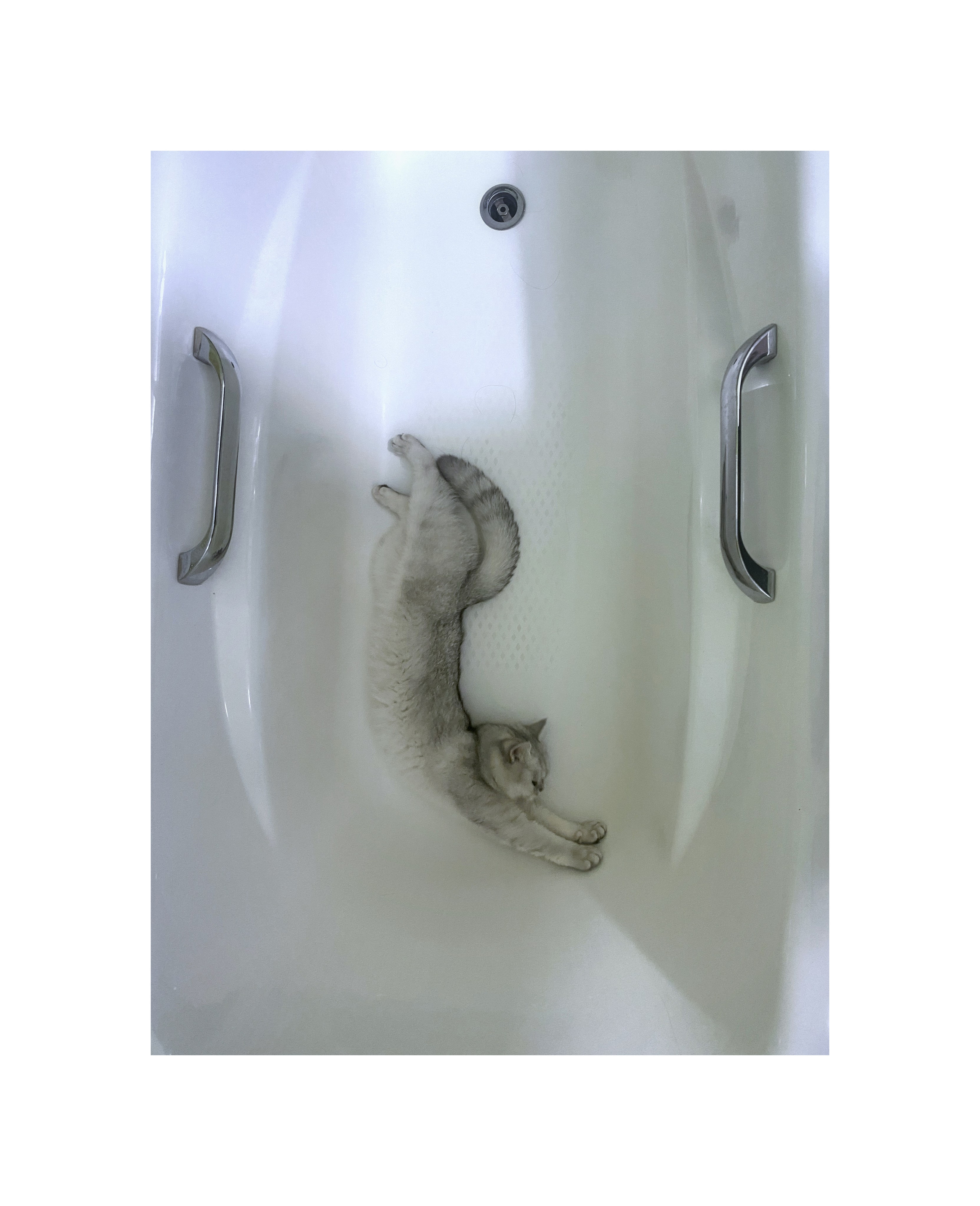 2023. Тащилин Сергей. Фотографии. Жизнь. Хобби