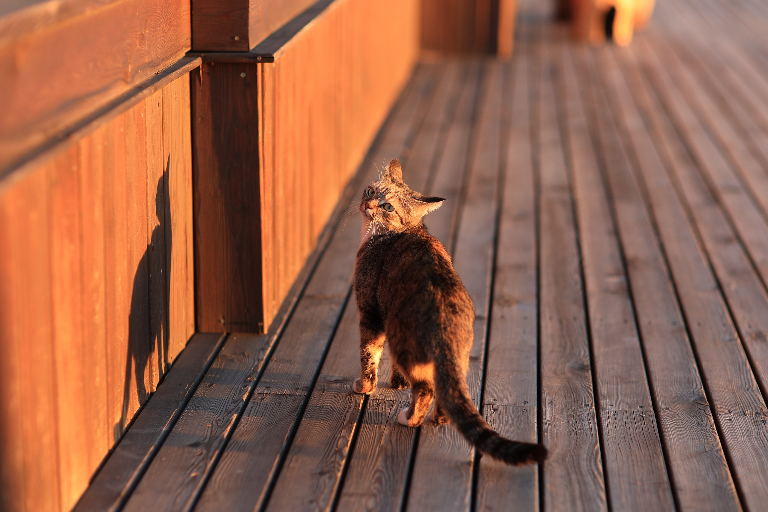 2023. Тащилин Сергей. Фотографии. Жизнь. Хобби