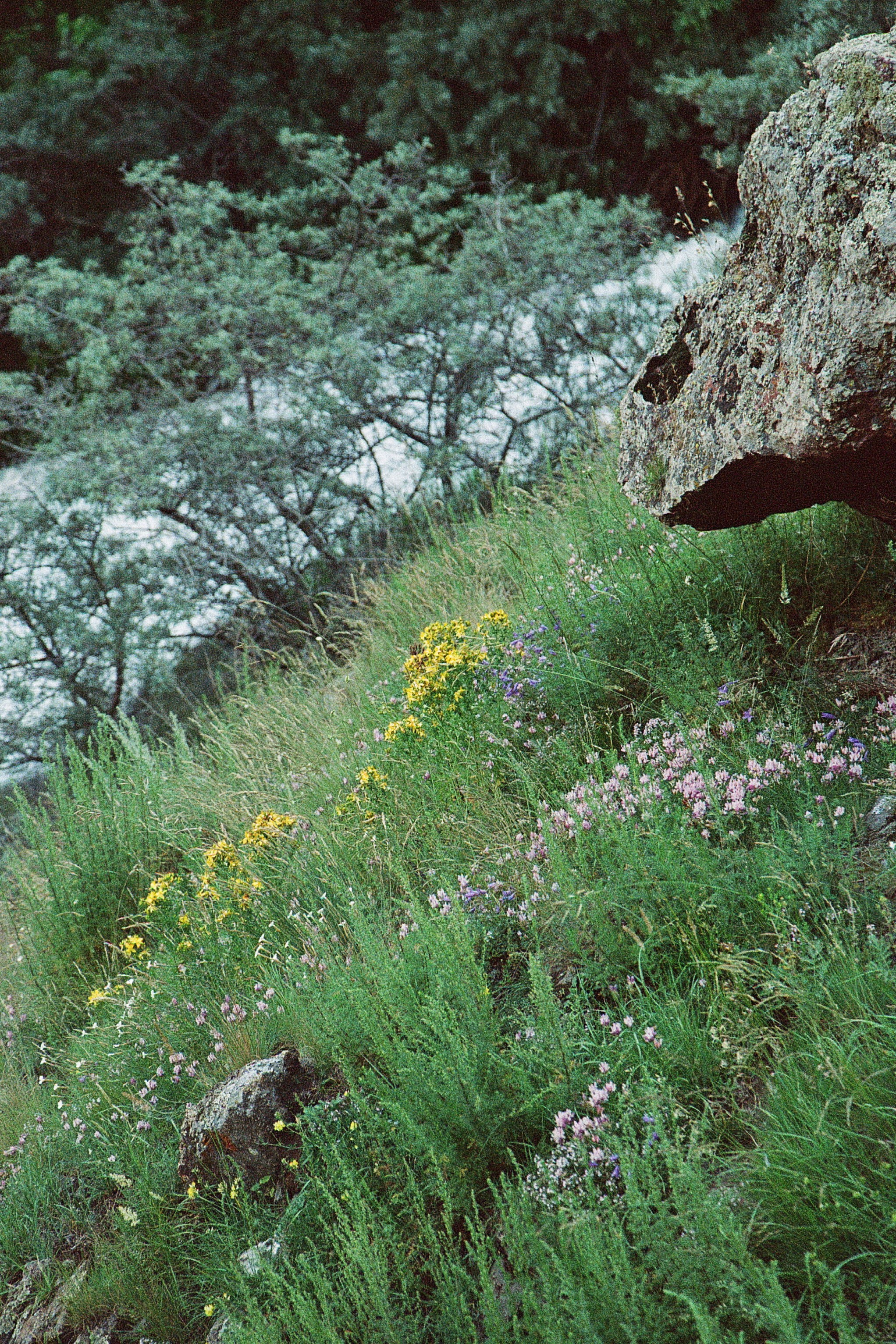 ГРУЗИЯ. ПРИРОДА.25. Профессиональный фотограф Федотова Арина