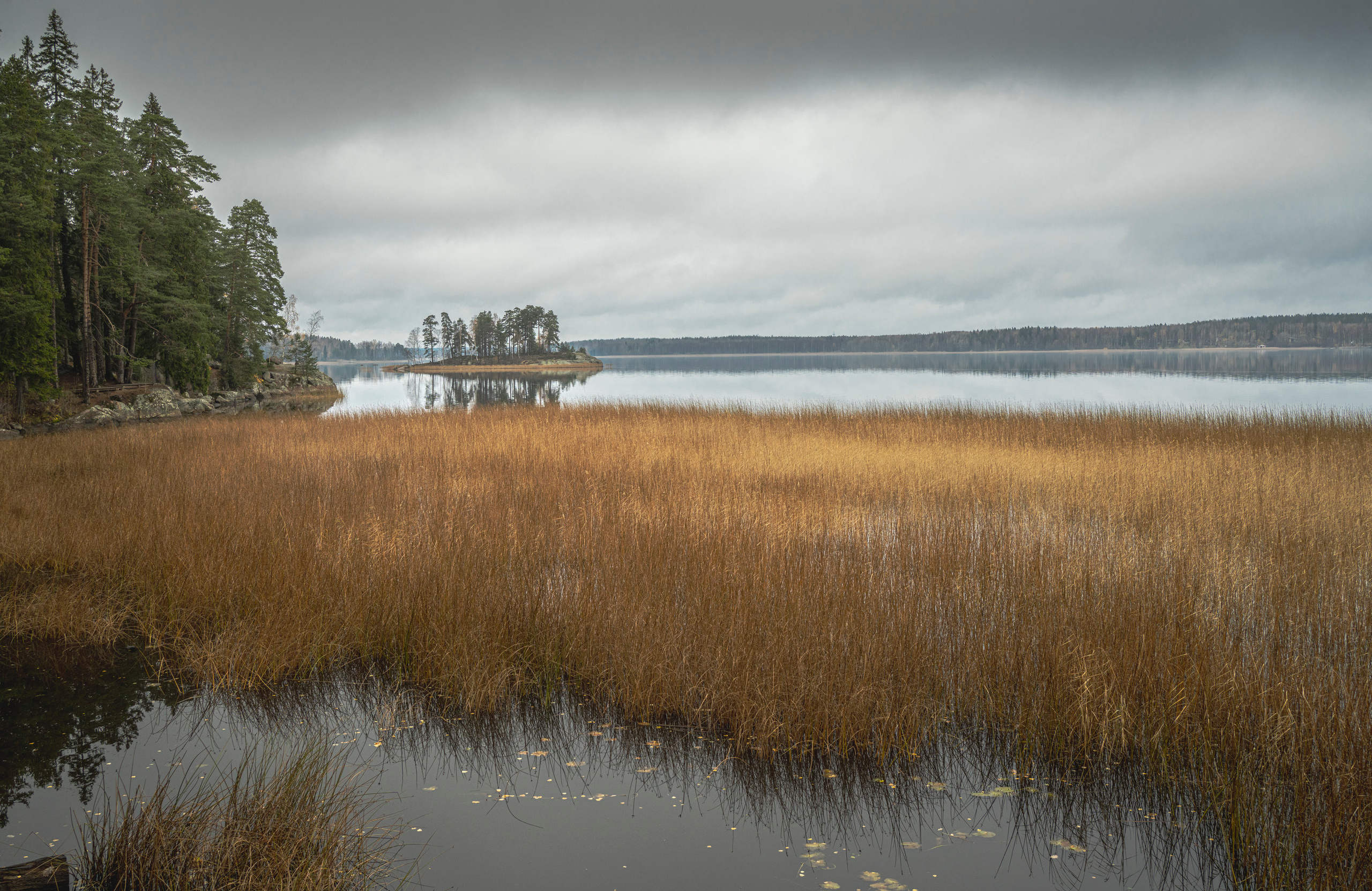 Выборг (октябрь 2020). Фотограф Сергей Танков