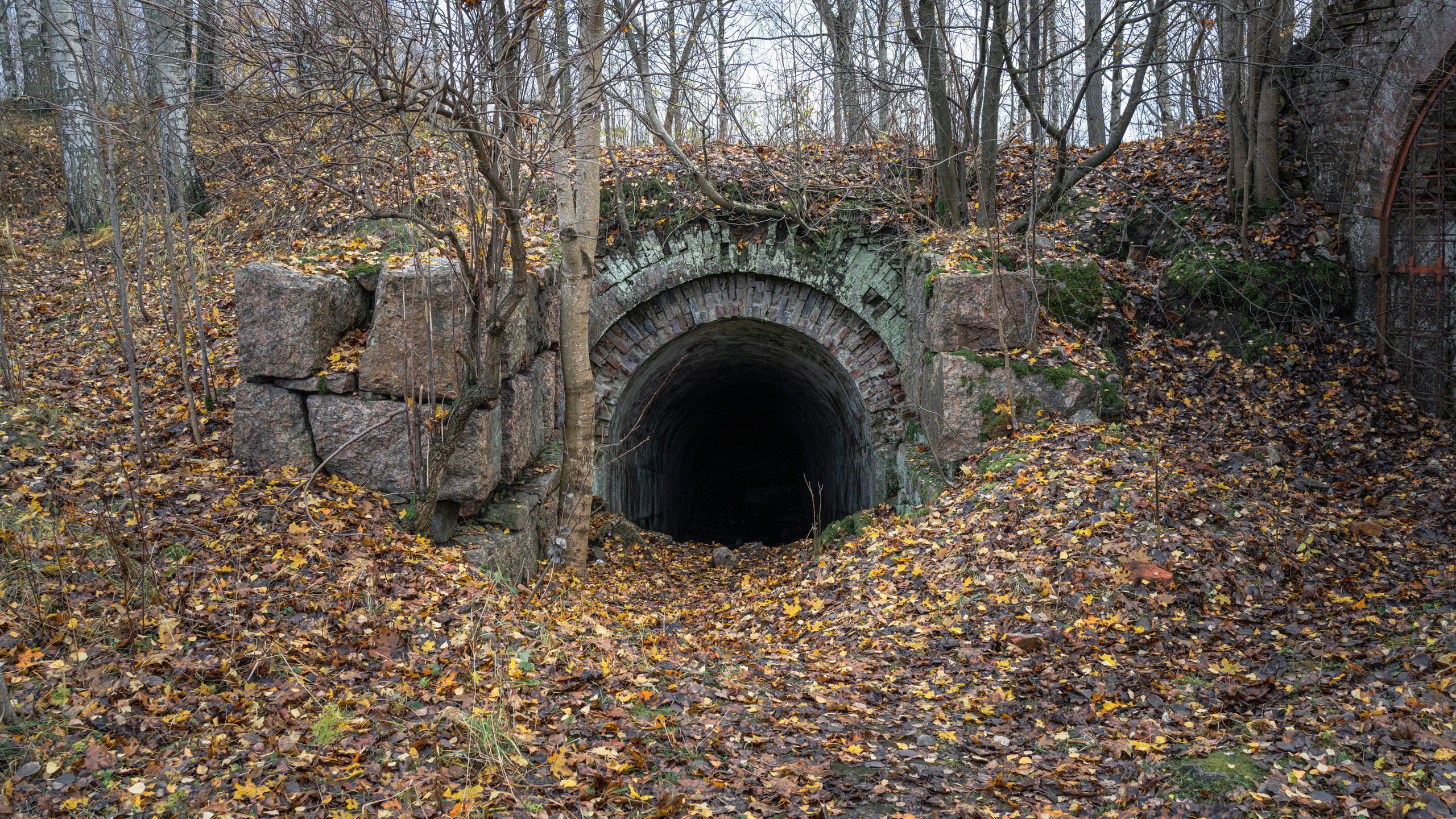 Выборг (октябрь 2020). Фотограф Сергей Танков