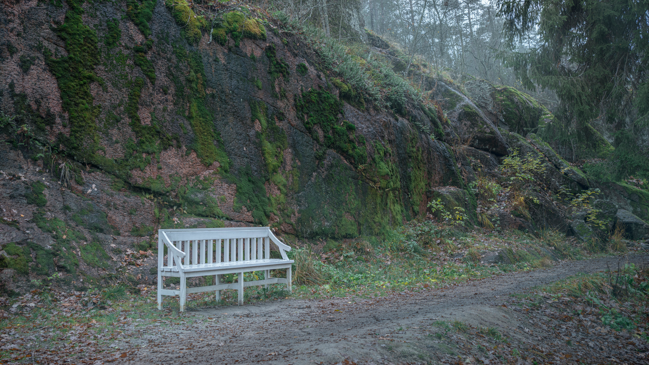 Выборг (октябрь 2020). Фотограф Сергей Танков