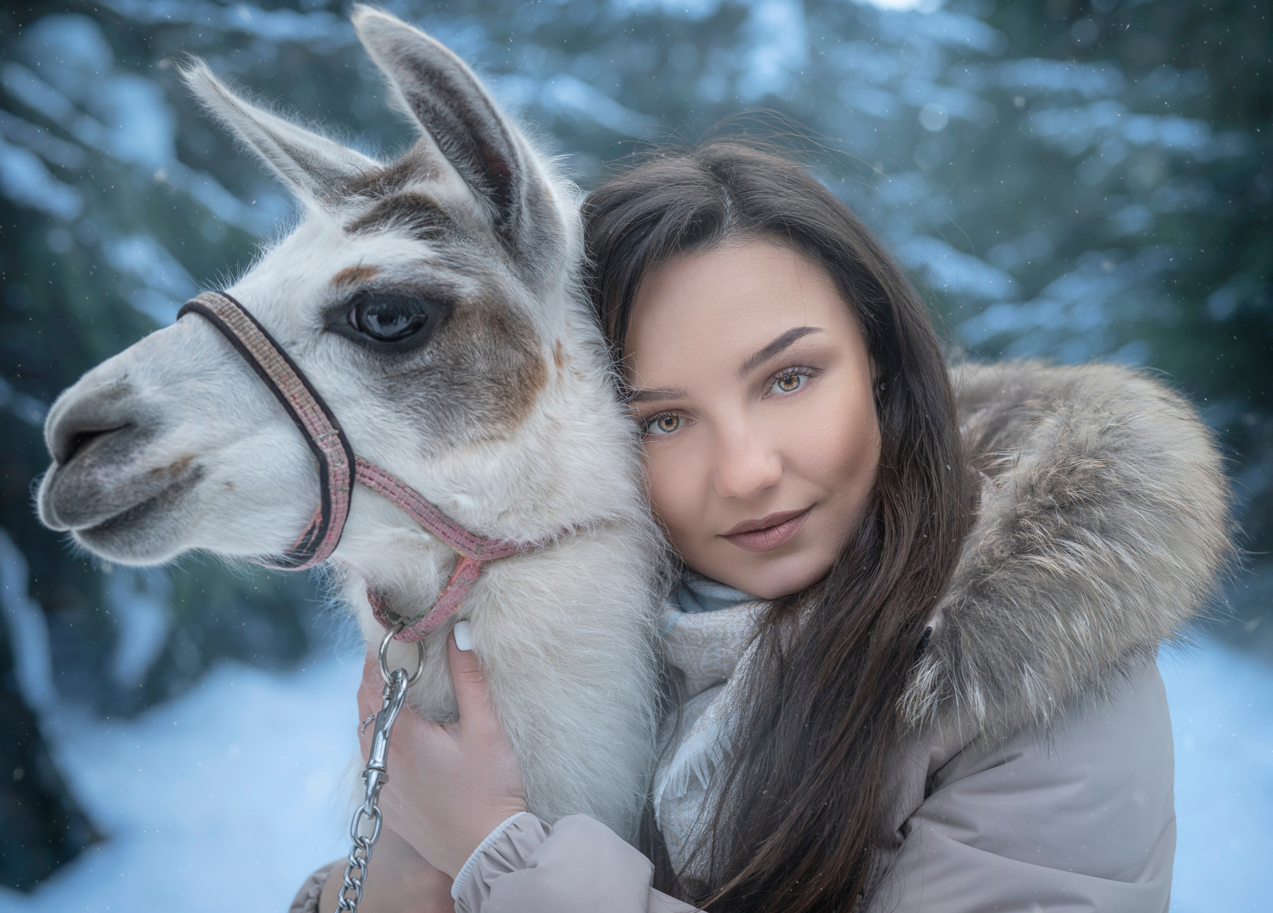 Семья Александровых. Фотограф Сергей Танков