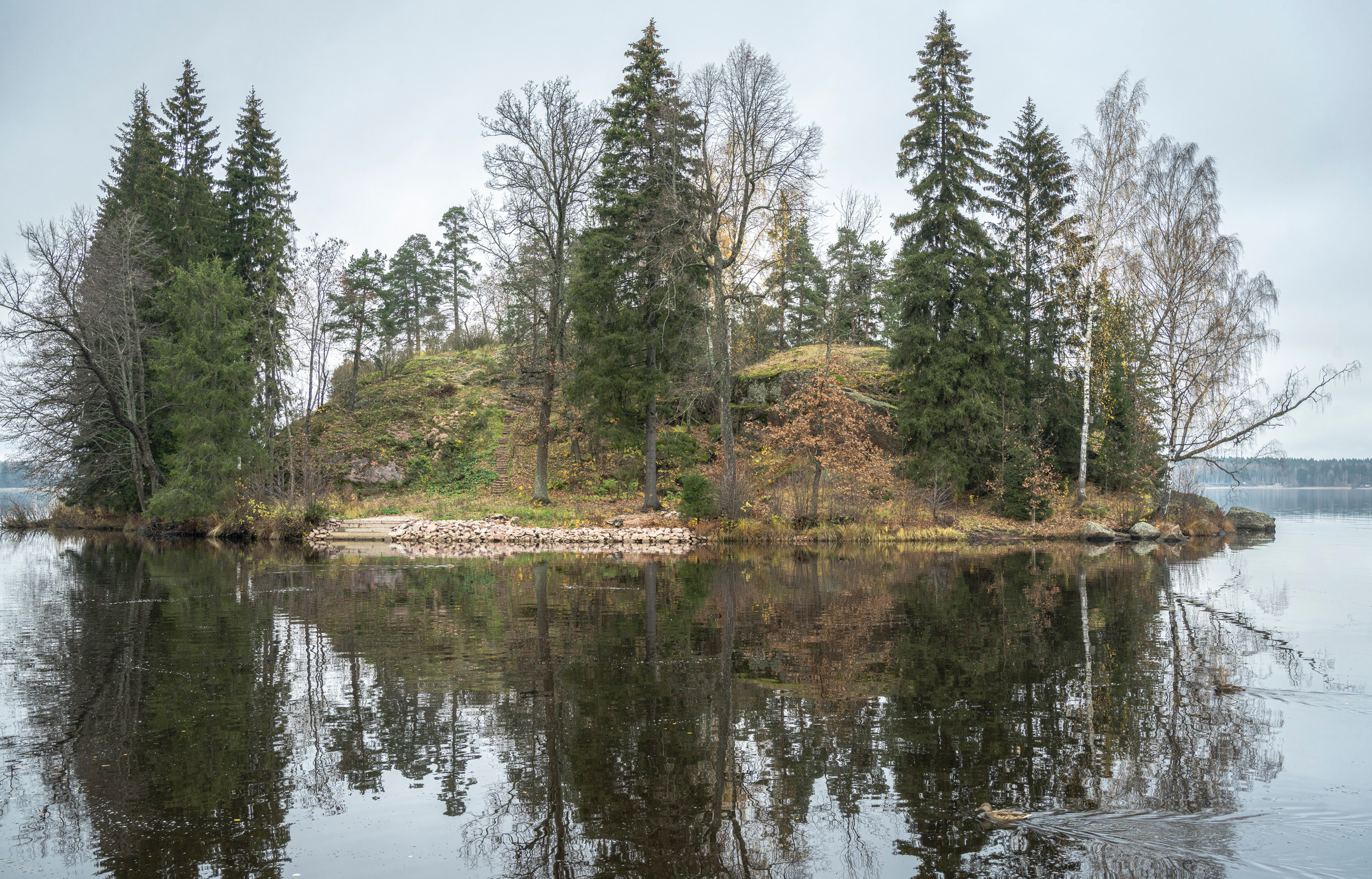 Выборг (октябрь 2020). Фотограф Сергей Танков