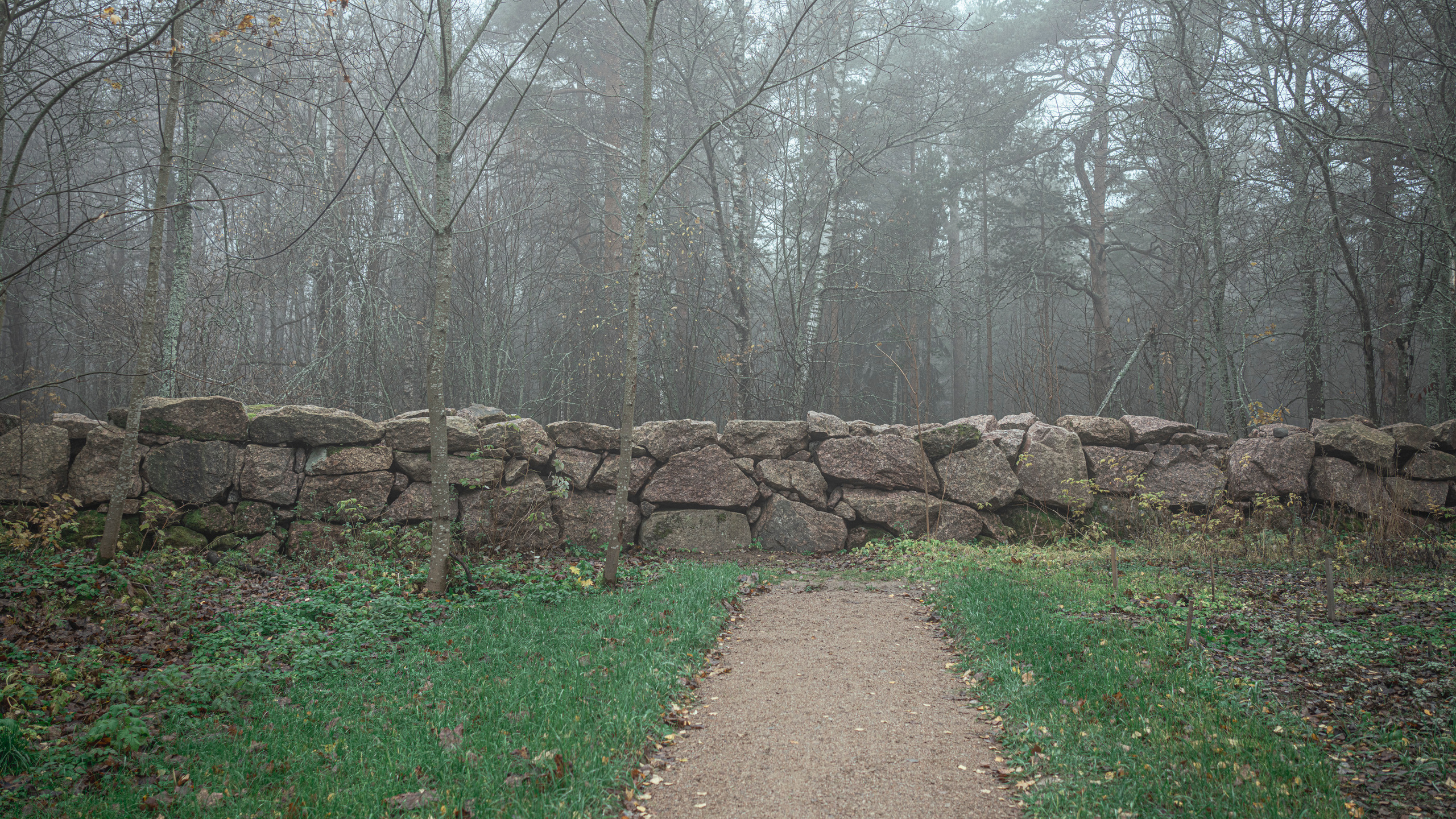 Выборг (октябрь 2020). Фотограф Сергей Танков