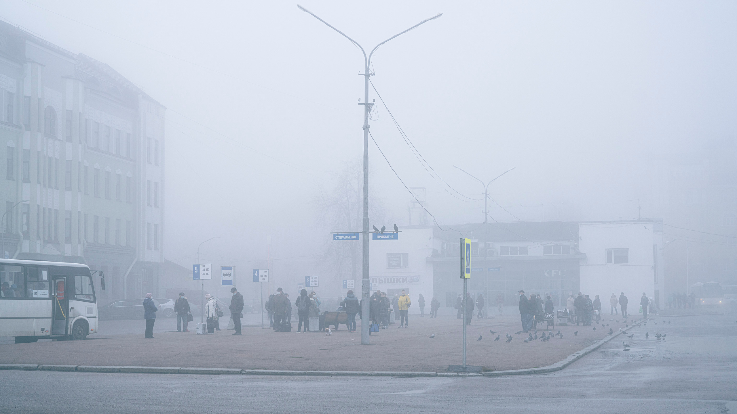 Выборг (октябрь 2020). Фотограф Сергей Танков