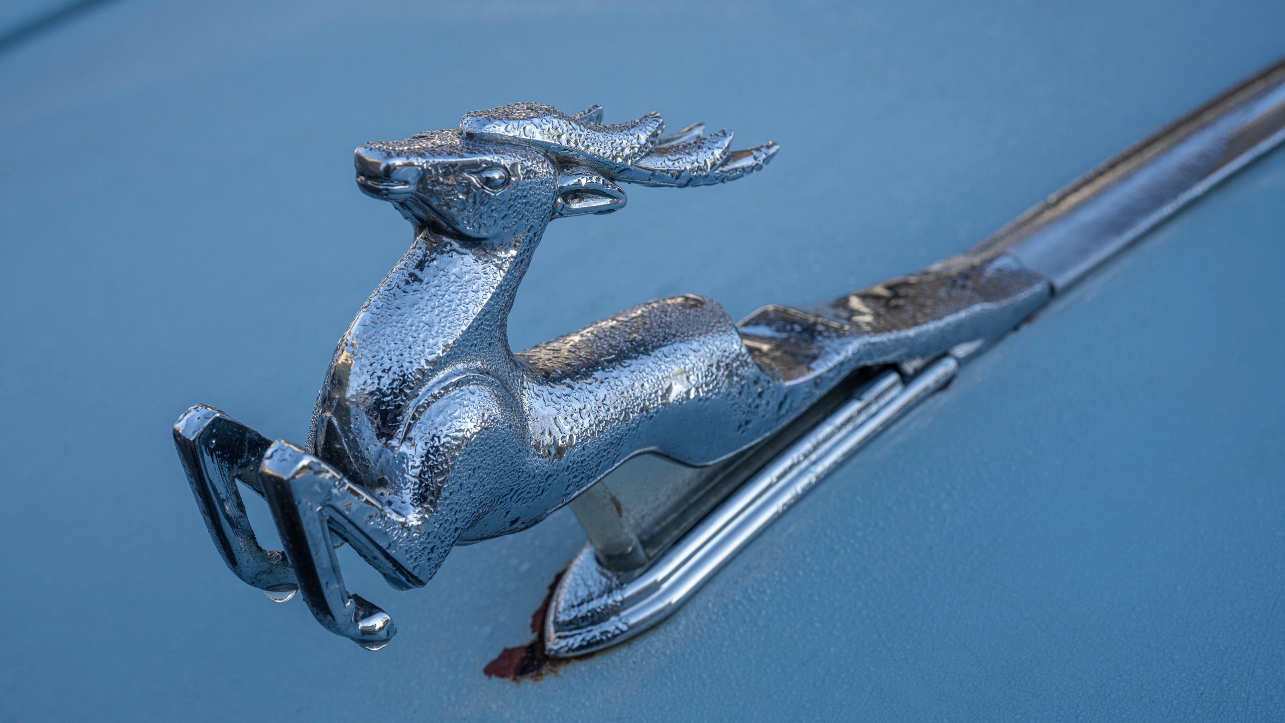 Выборг (октябрь 2020). Фотограф Сергей Танков