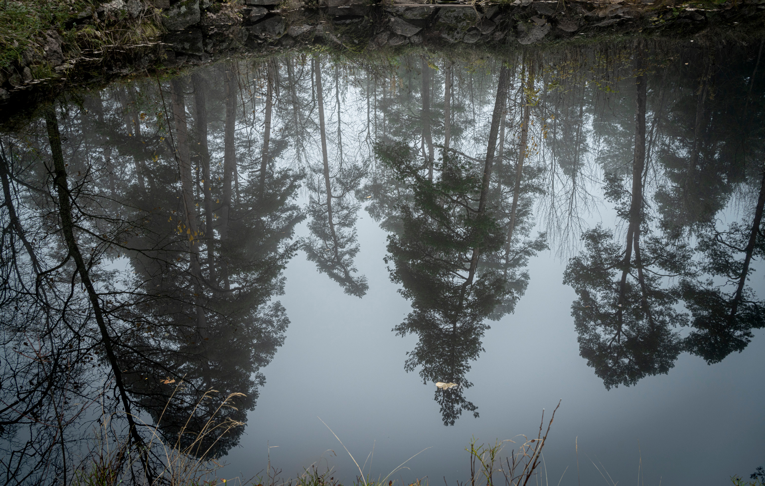 Выборг (октябрь 2020). Фотограф Сергей Танков