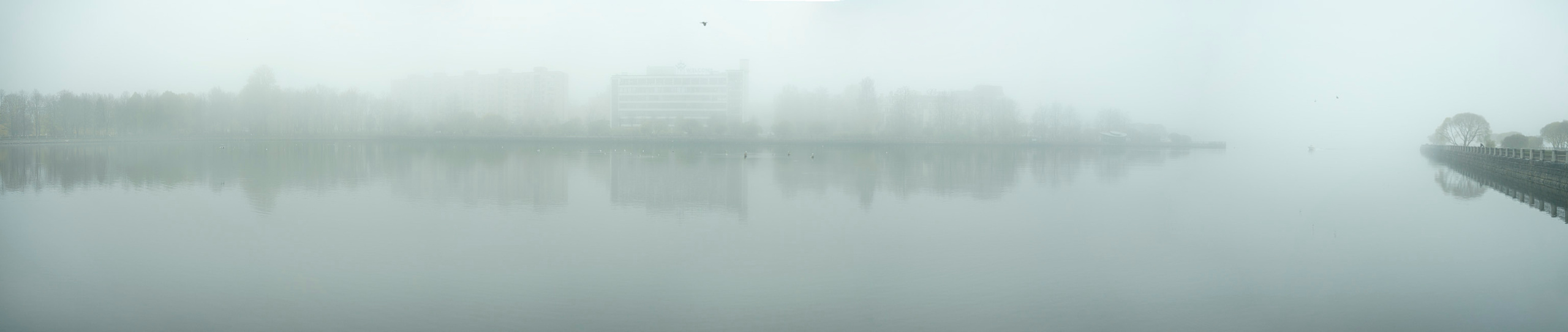 Выборг (октябрь 2020). Фотограф Сергей Танков