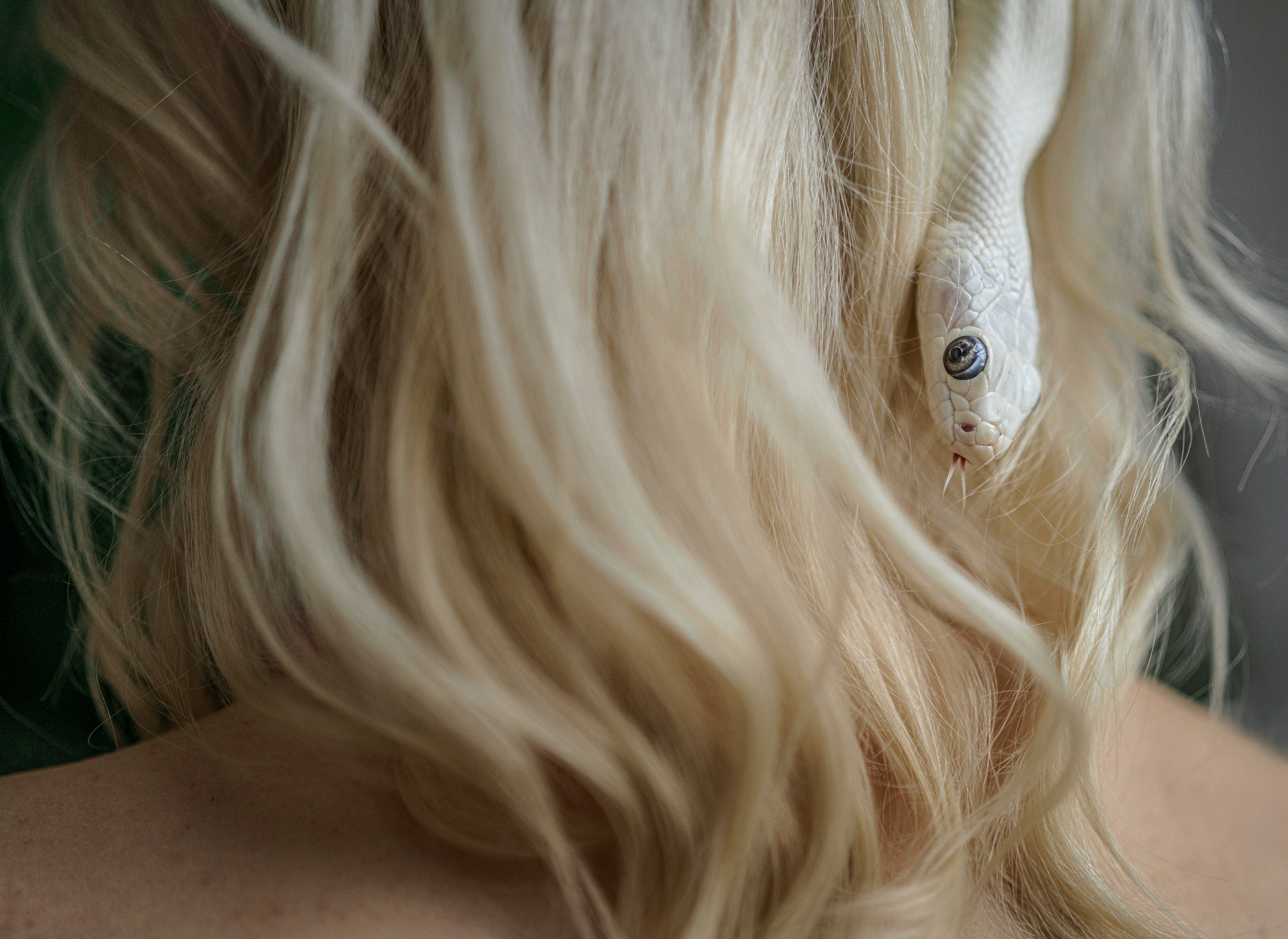 Настя и змея. Фотограф Сергей Танков