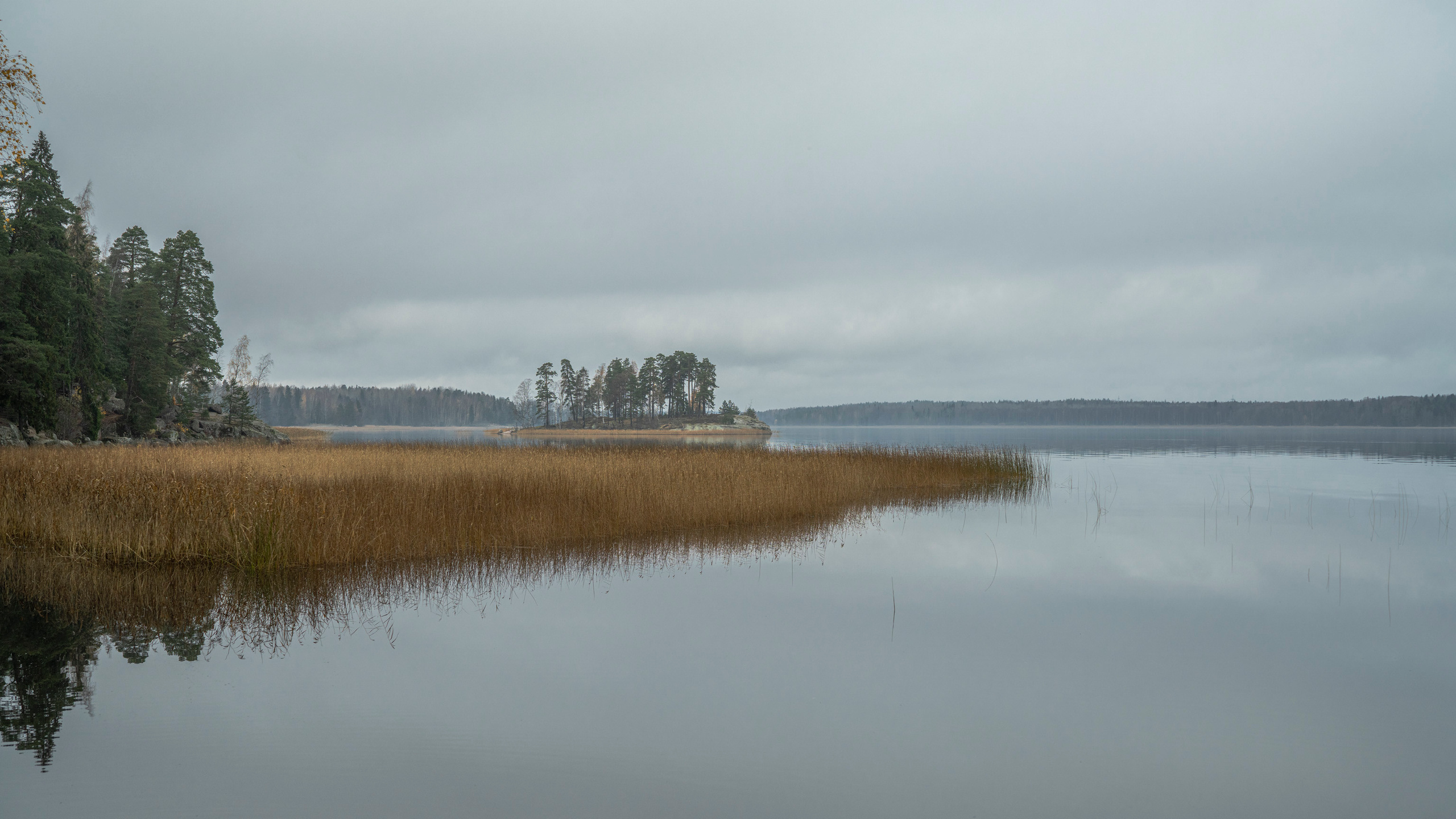 Выборг (октябрь 2020). Фотограф Сергей Танков