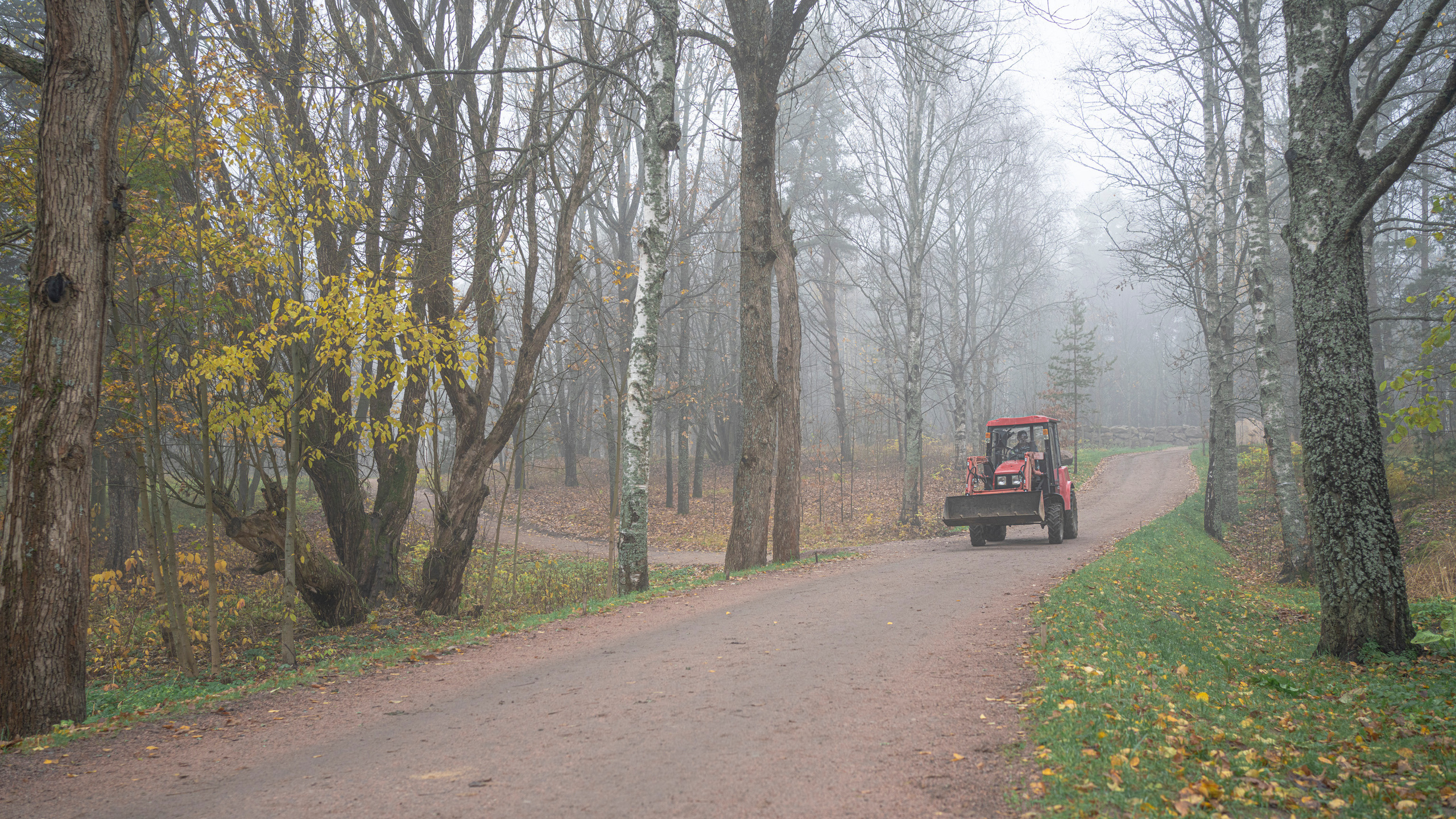 Выборг (октябрь 2020). Фотограф Сергей Танков