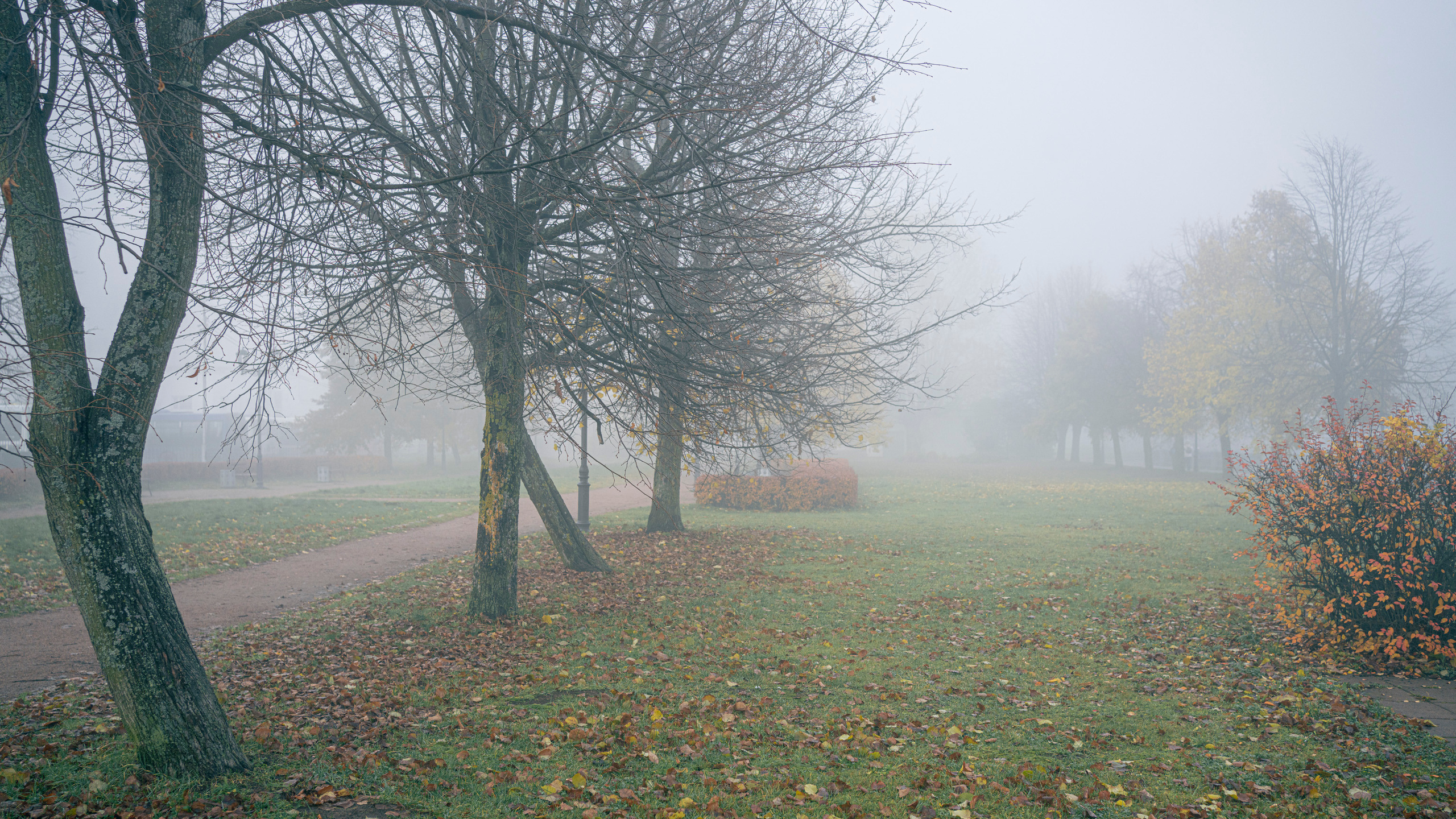 Выборг (октябрь 2020). Фотограф Сергей Танков