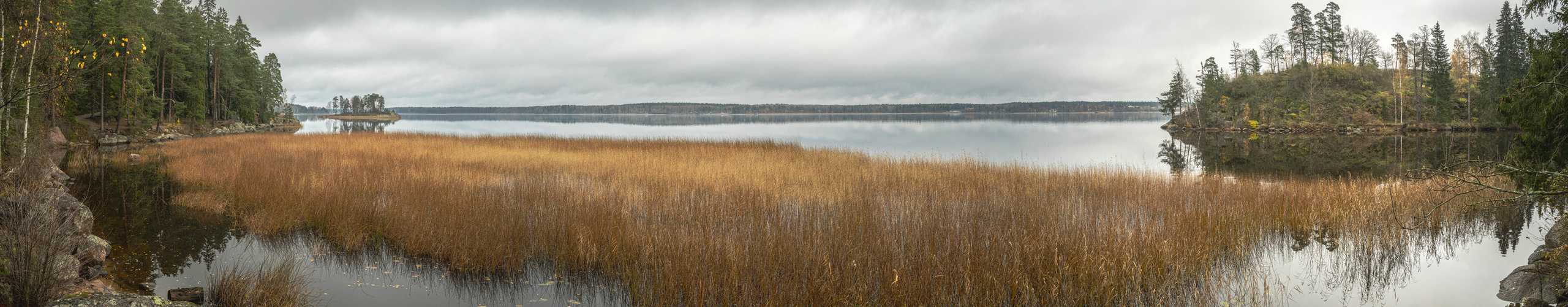 Выборг (октябрь 2020). Фотограф Сергей Танков