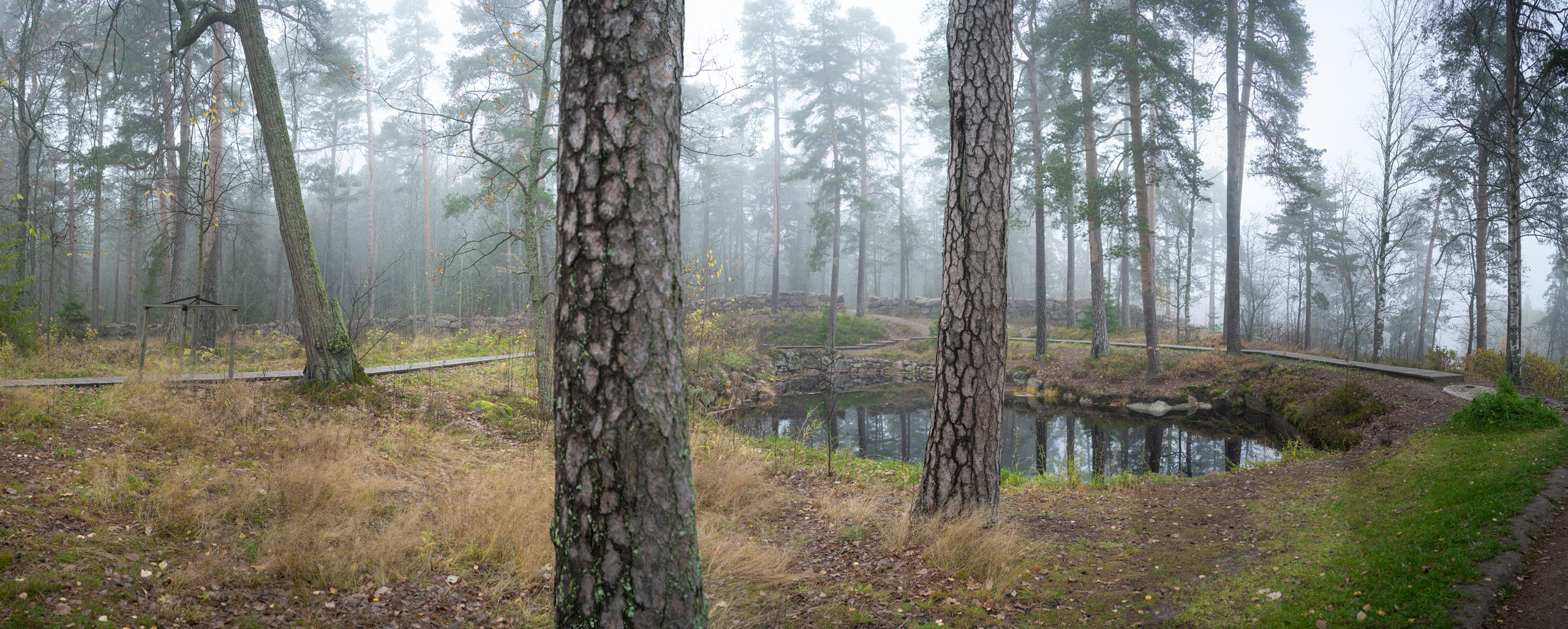 Выборг (октябрь 2020). Фотограф Сергей Танков