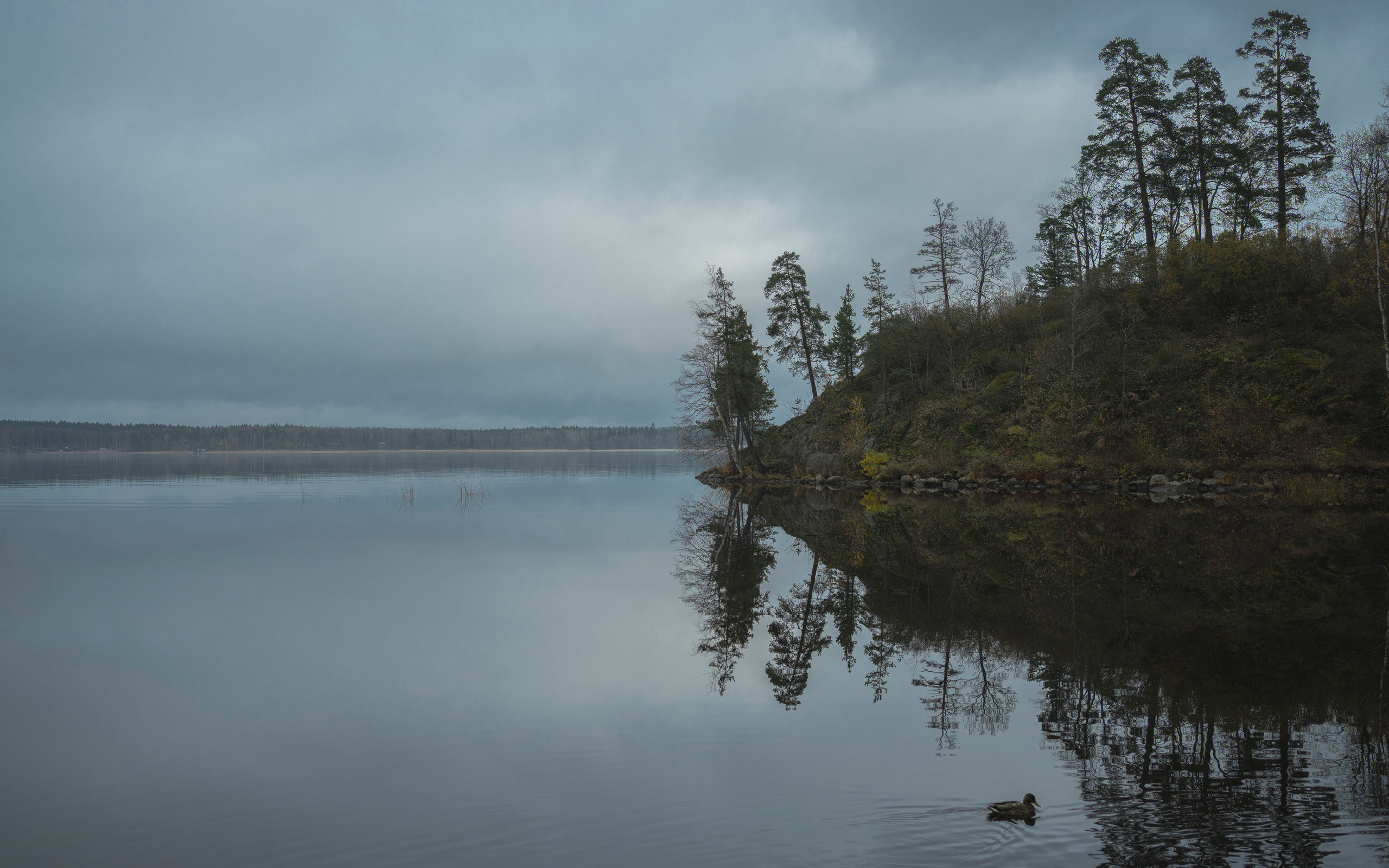 Выборг (октябрь 2020). Фотограф Сергей Танков