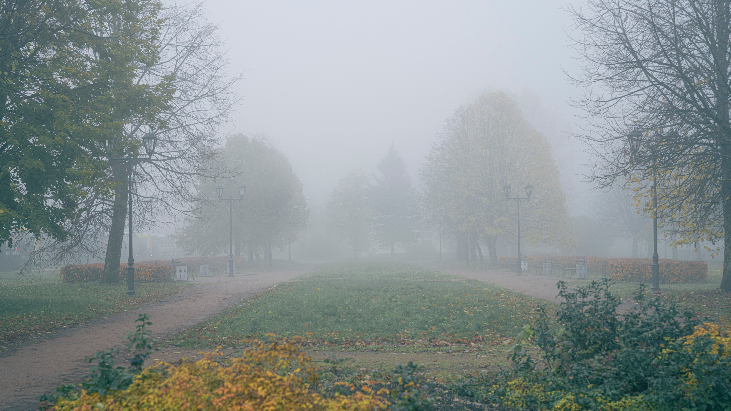Выборг (октябрь 2020). Фотограф Сергей Танков