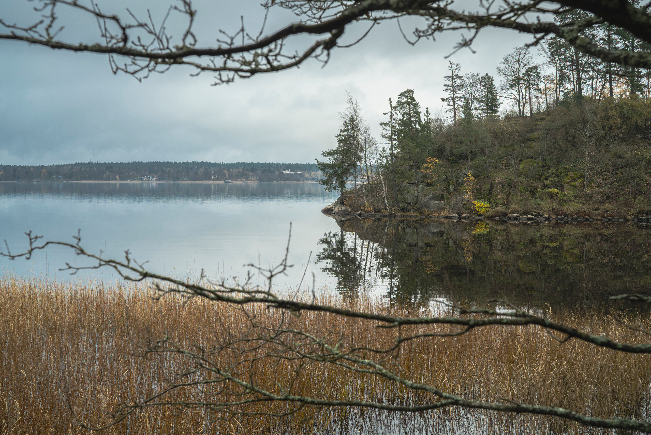Выборг (октябрь 2020). Фотограф Сергей Танков