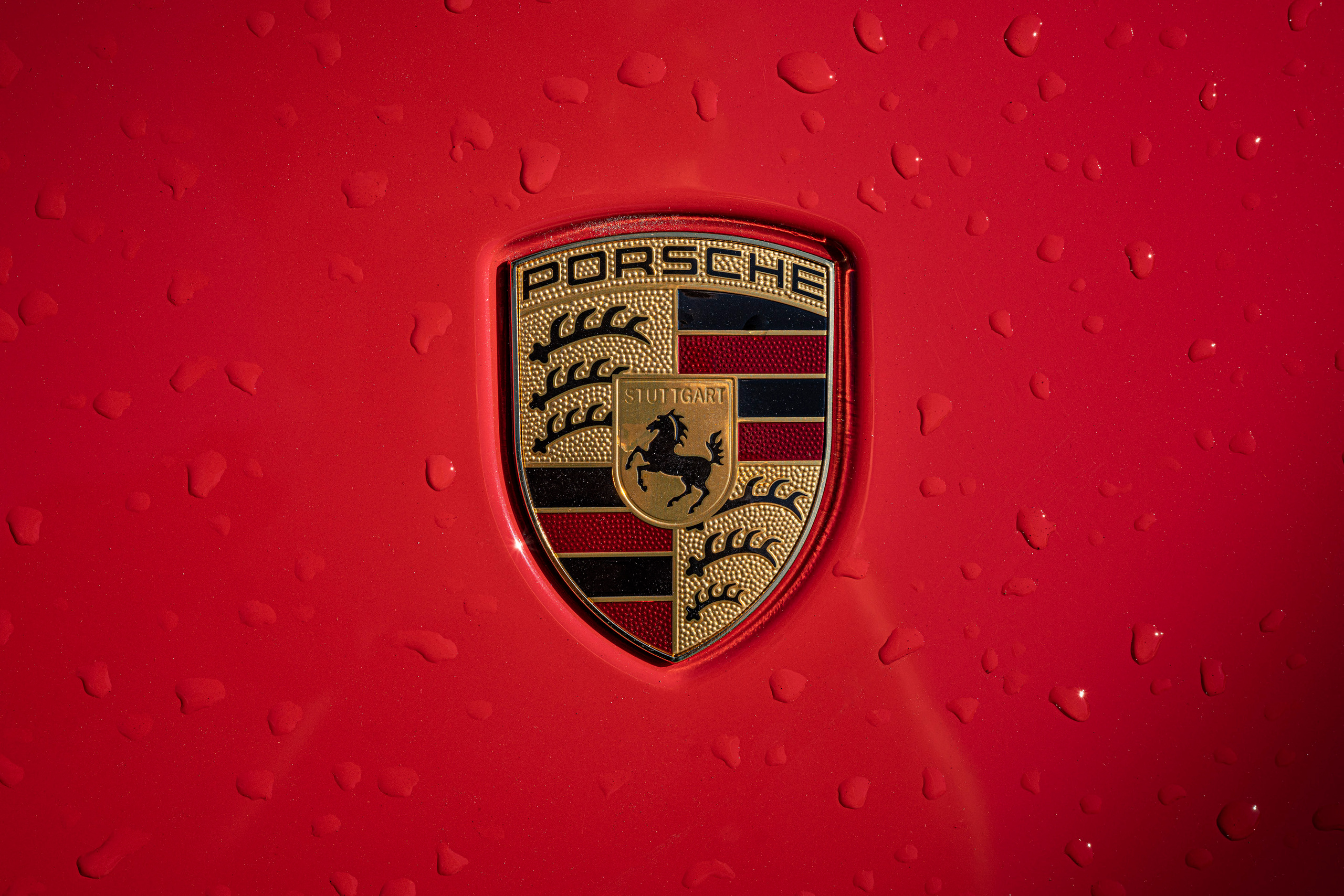 Фотовыезд — август 2021. Фотограф Сергей Танков