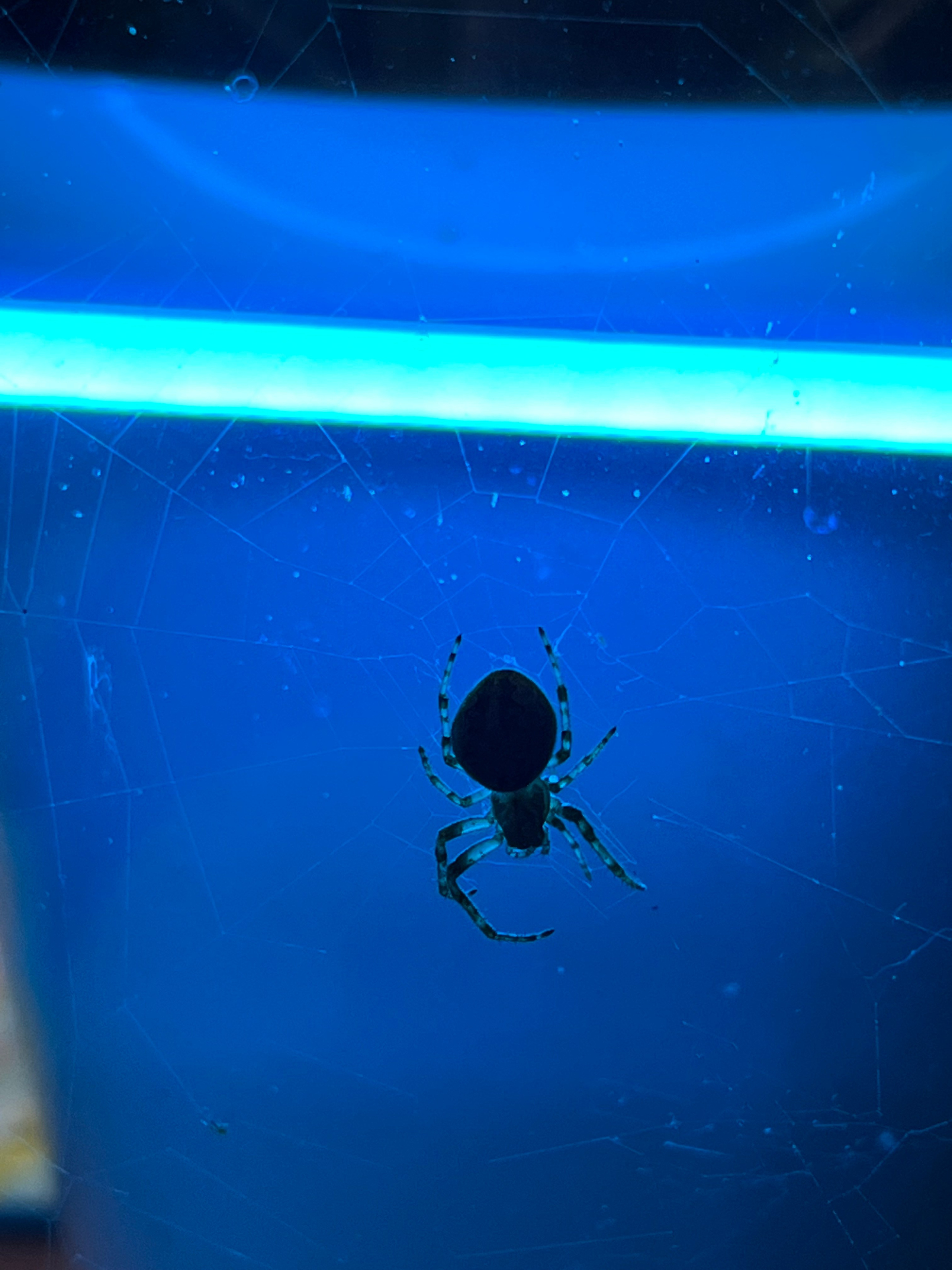 Fragments. Artem Khusainov