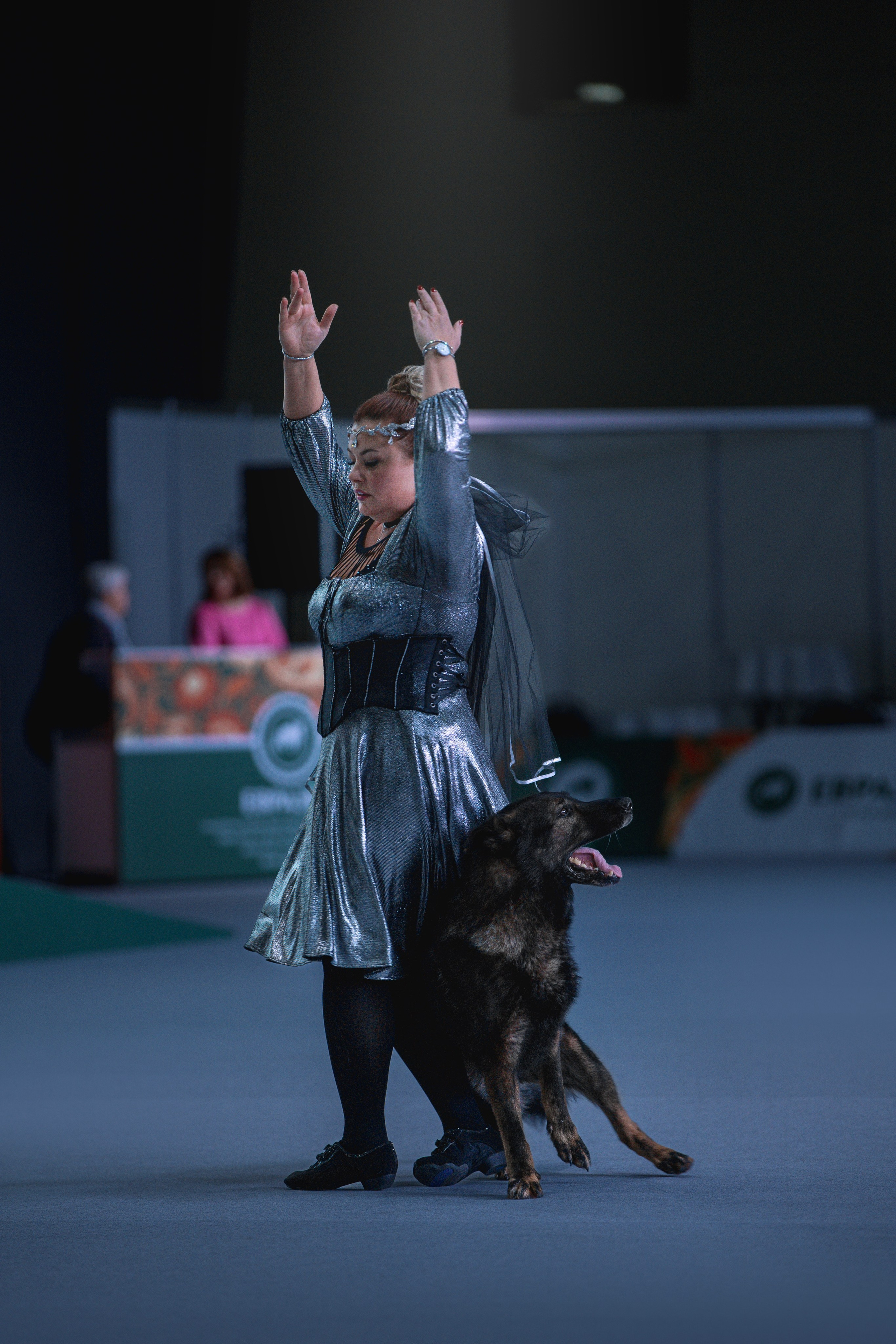 Выставки. Фотограф анималист в Москве Майорова Евгения