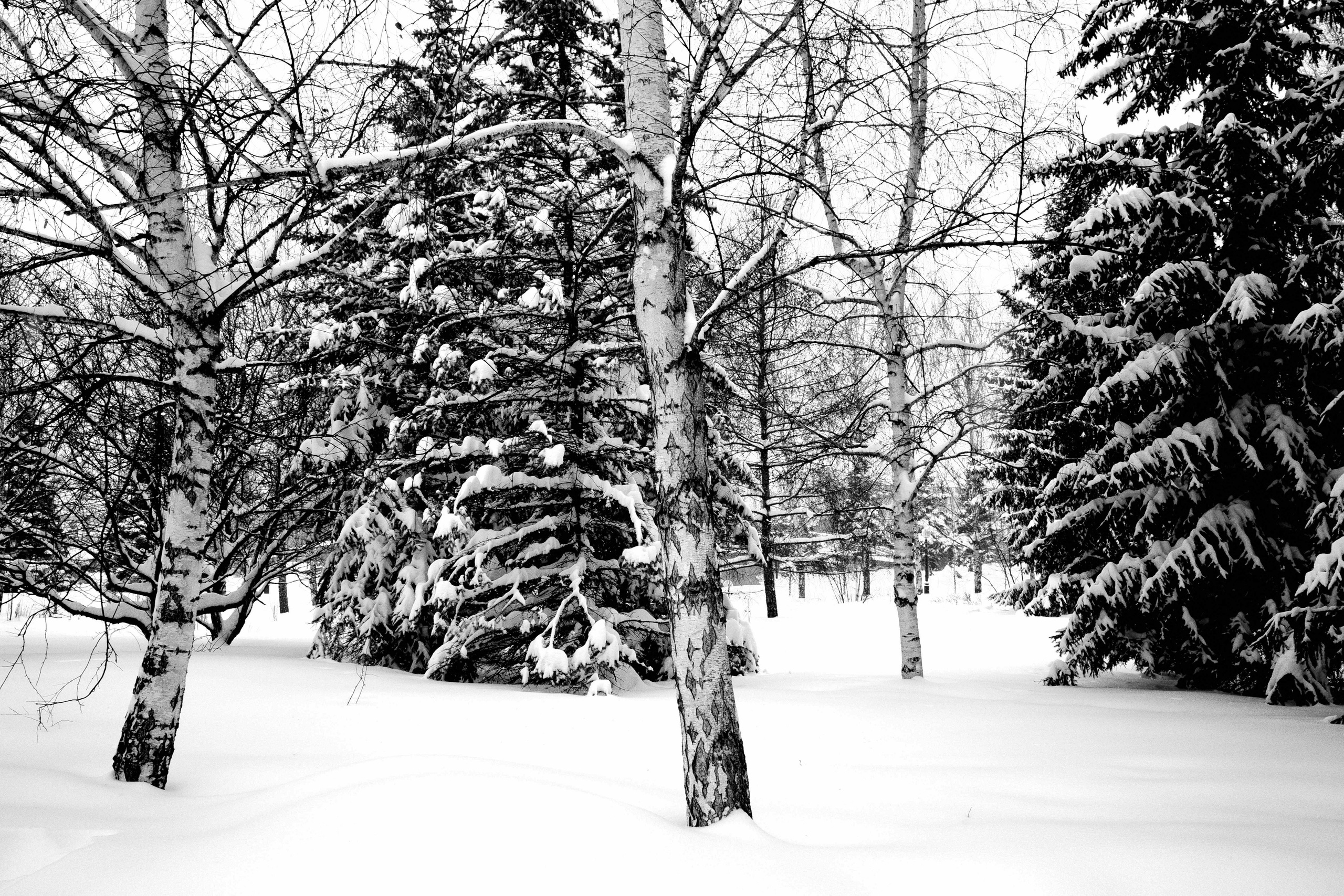 Снежный февраль