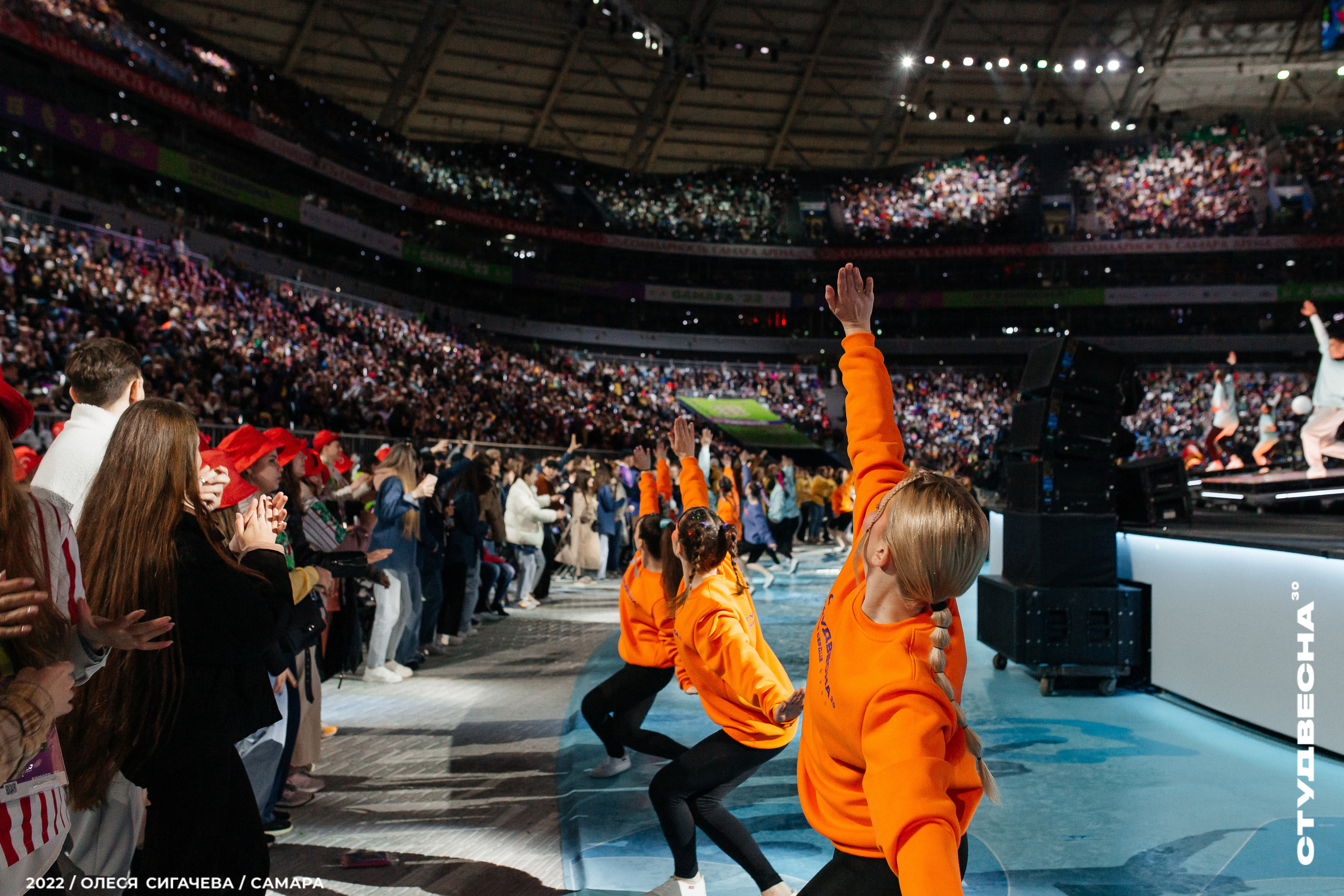 Стоимость услуг