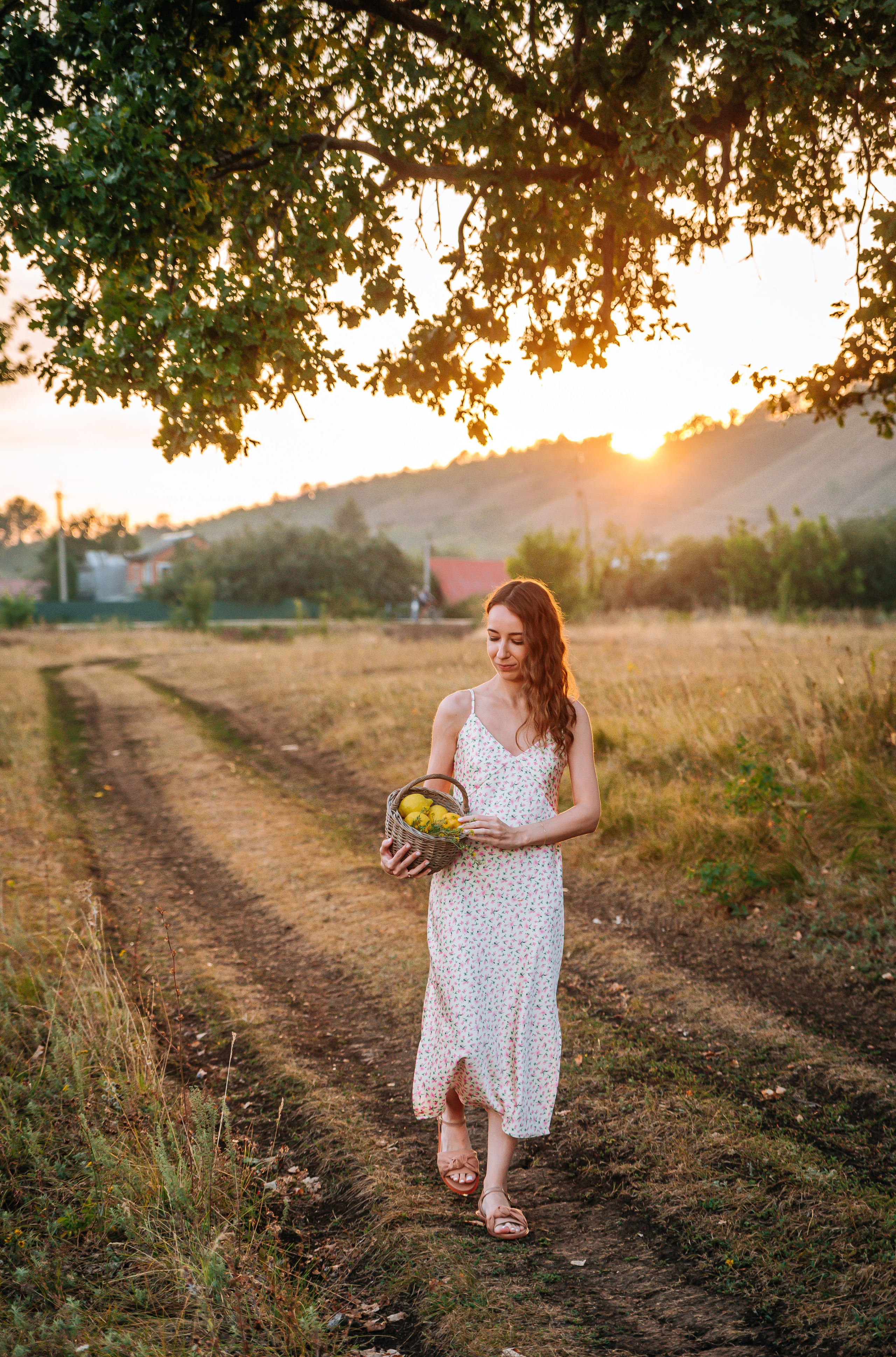 Летний Пикник. Главная