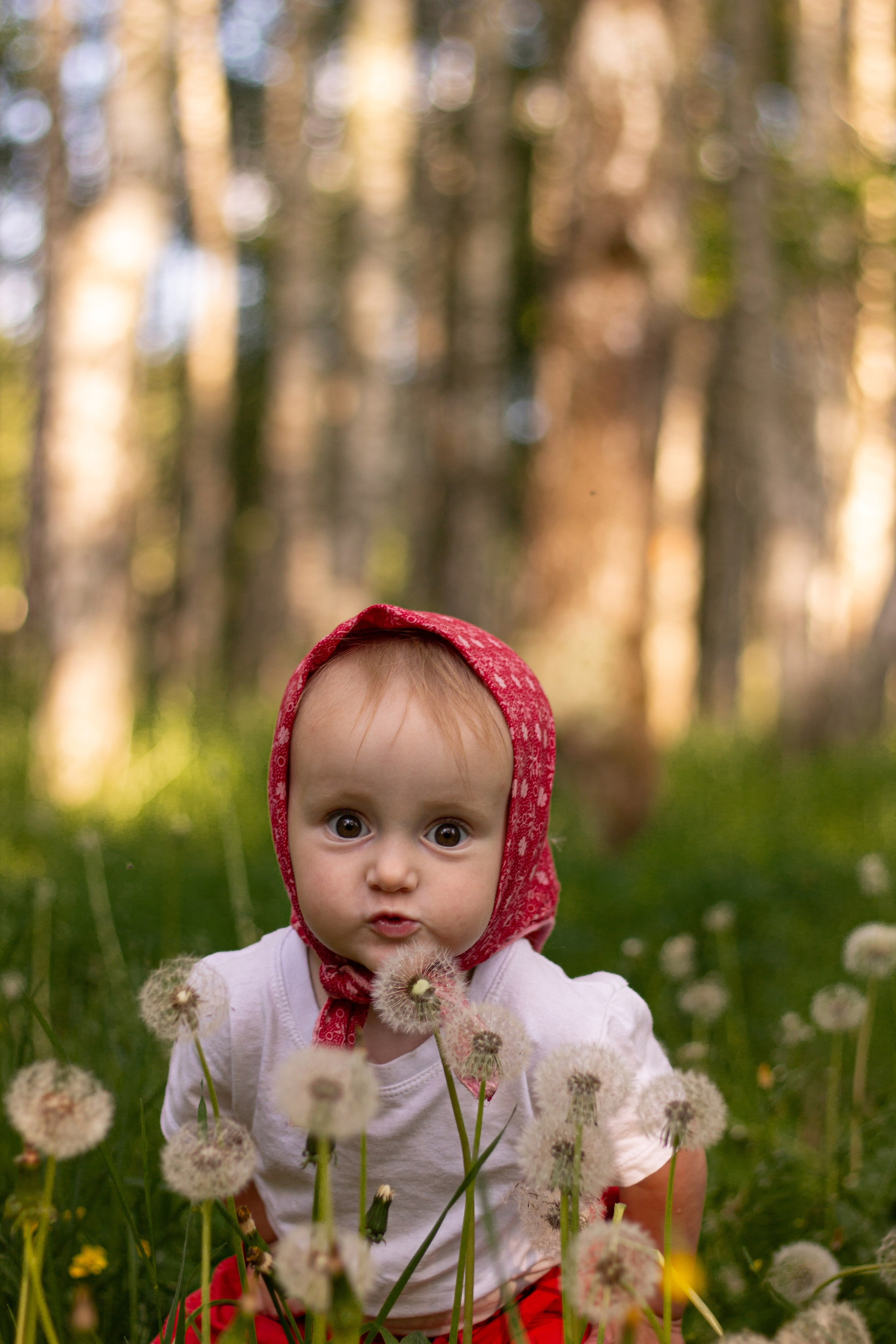 Дети прогулочное. Фотограф Дарья Улюсова