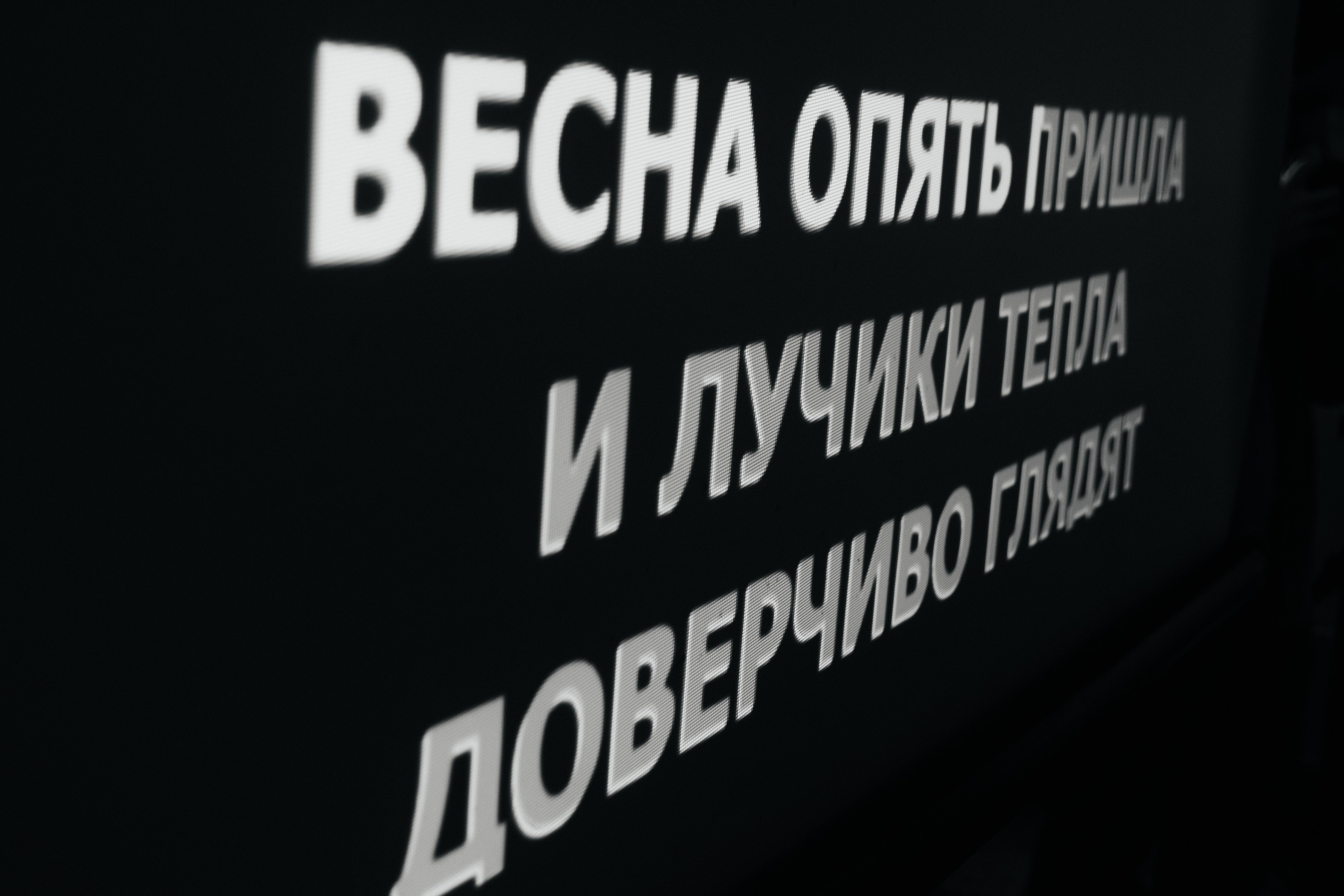 Школьный выпускной 2024 год в Соколе (Минск). Свадебный фотограф в Минске/Беларуси Сергей Спиридонов