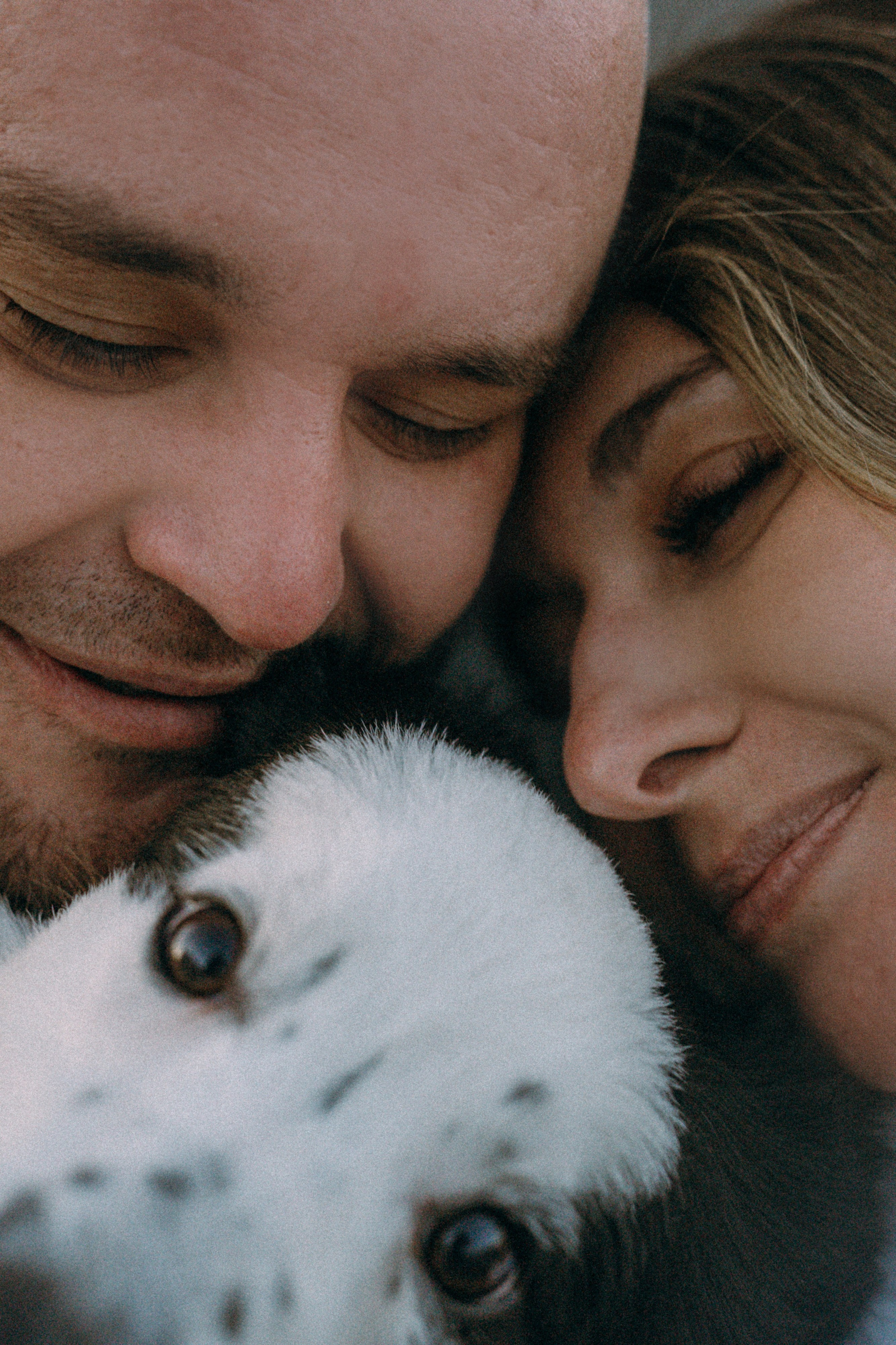 Таня, Дима и Чейси. Фотограф анималист в Москве и Санкт-Петербурге Свиридова Анна