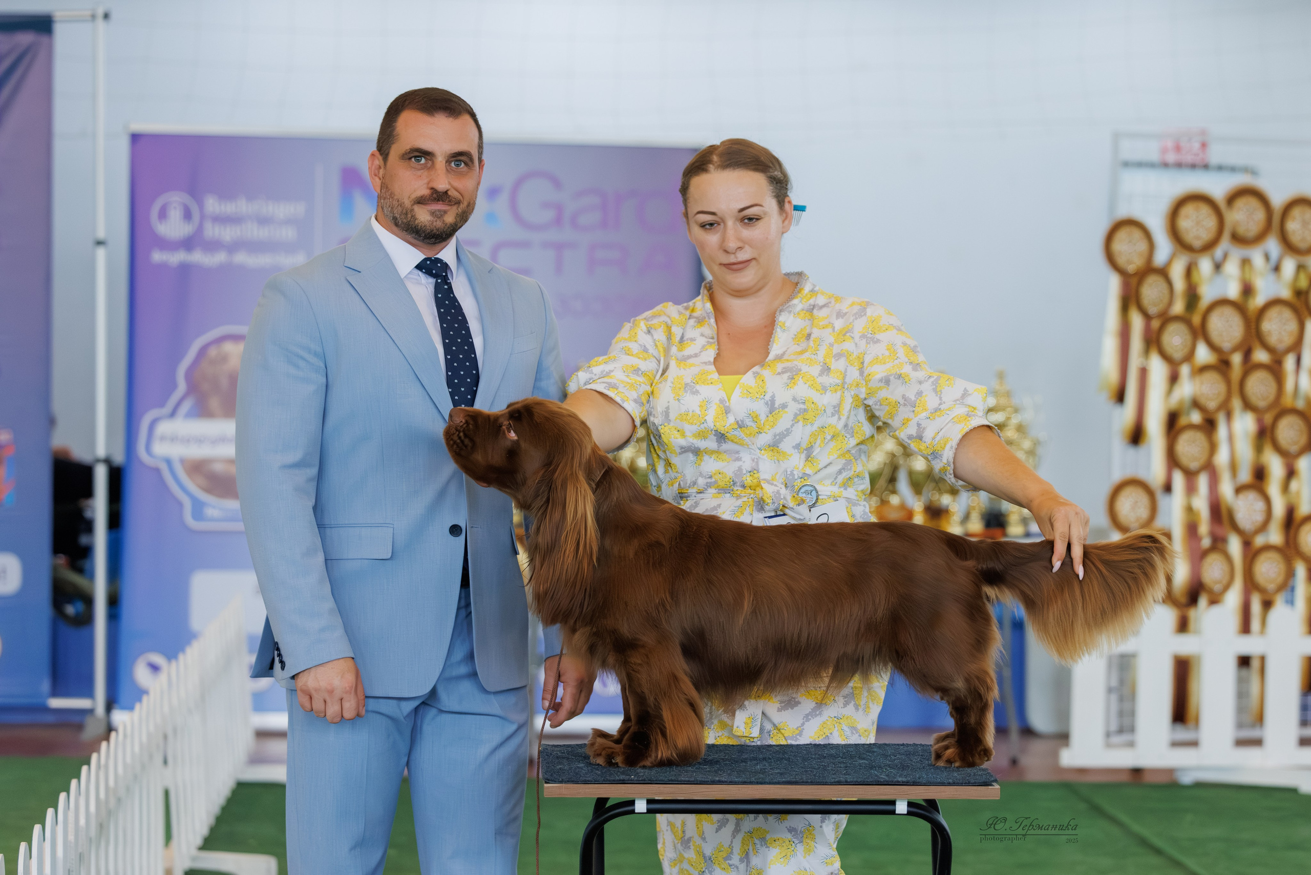 Батуми 3хCACIB 27-29.06.2025. Фотограф-анималист Юлия Германика