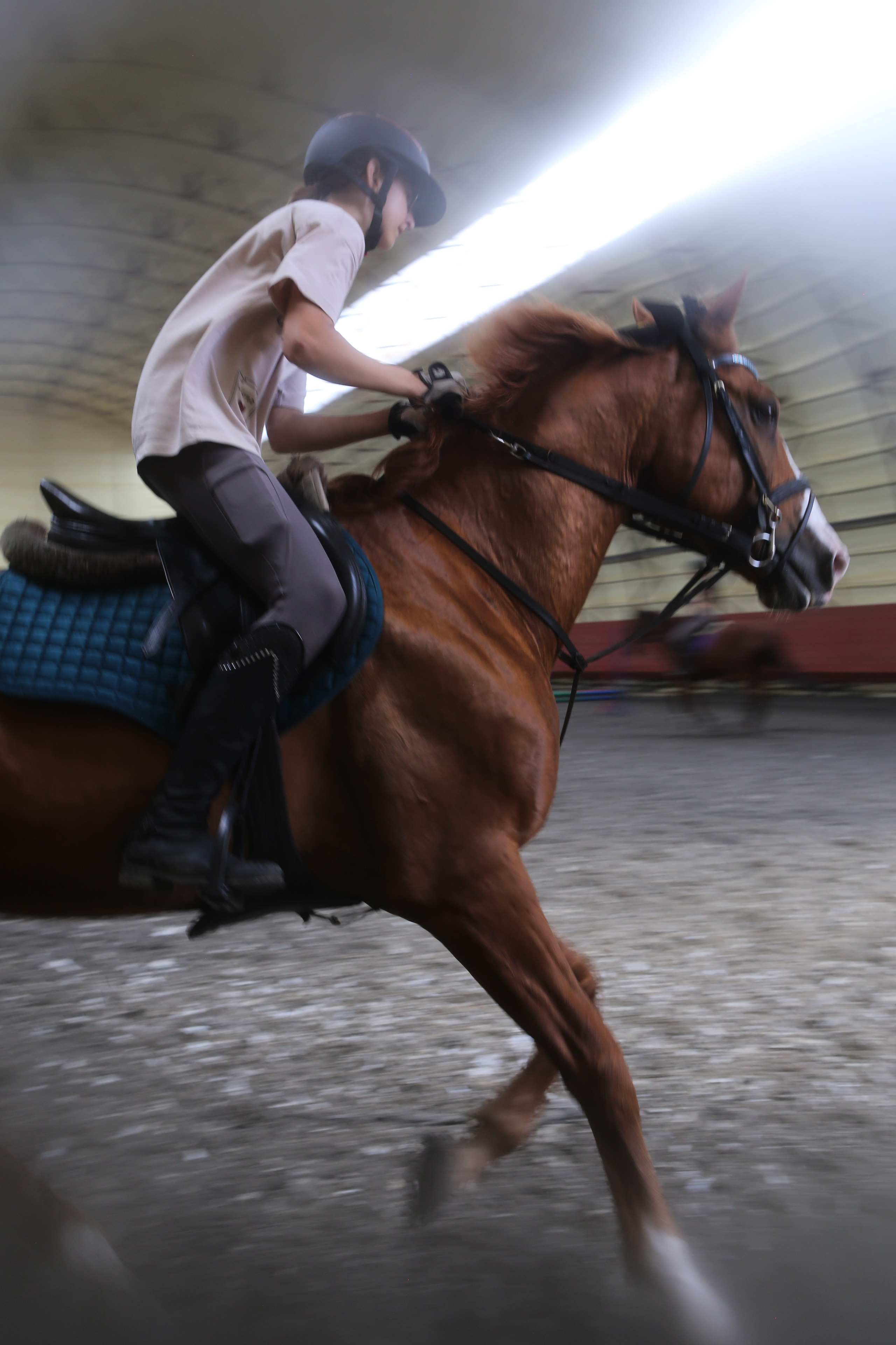 In a horse club NIMB. Фотограф Антонина Гудкова
