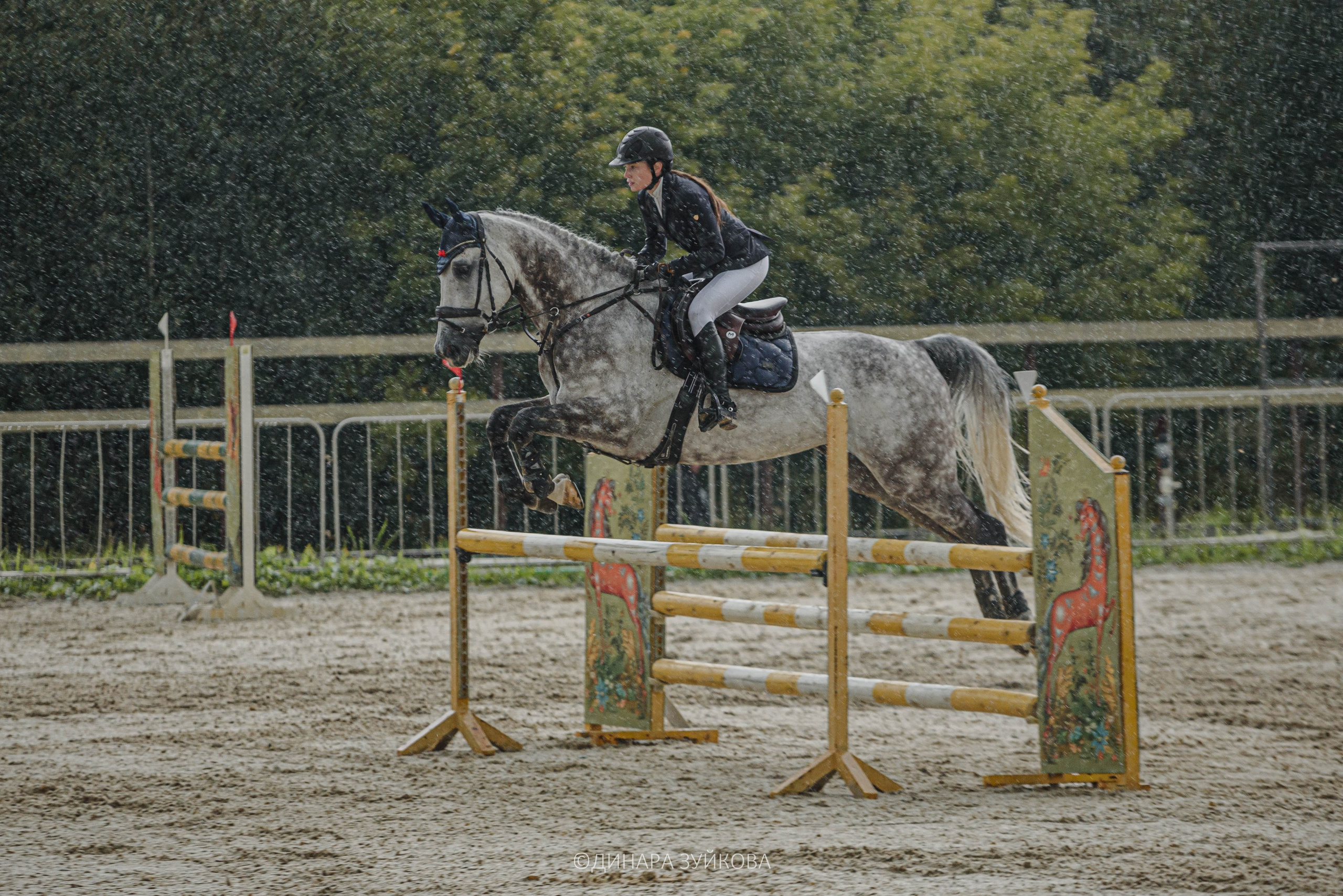 Фотосессия соревнований по конному спорту