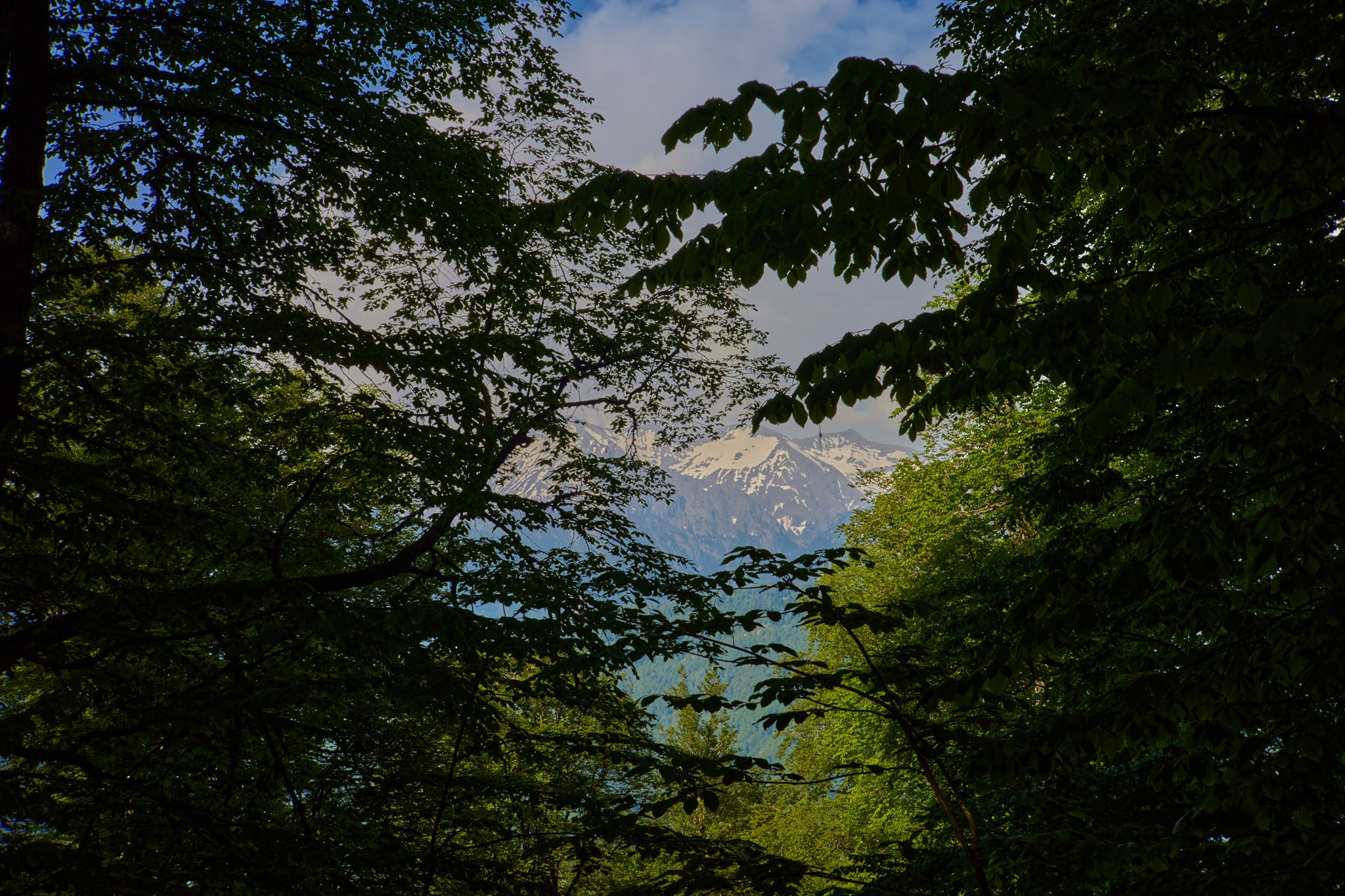 Красная Поляна, апрель 2024. Фотограф, Римма Невинская