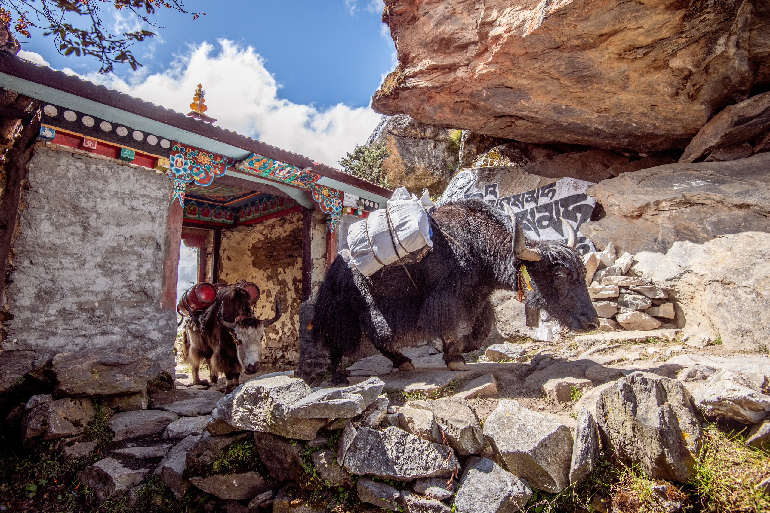Экспедиции. Фотограф Андрей Шереметьев. Репортажный, спортивный фотограф