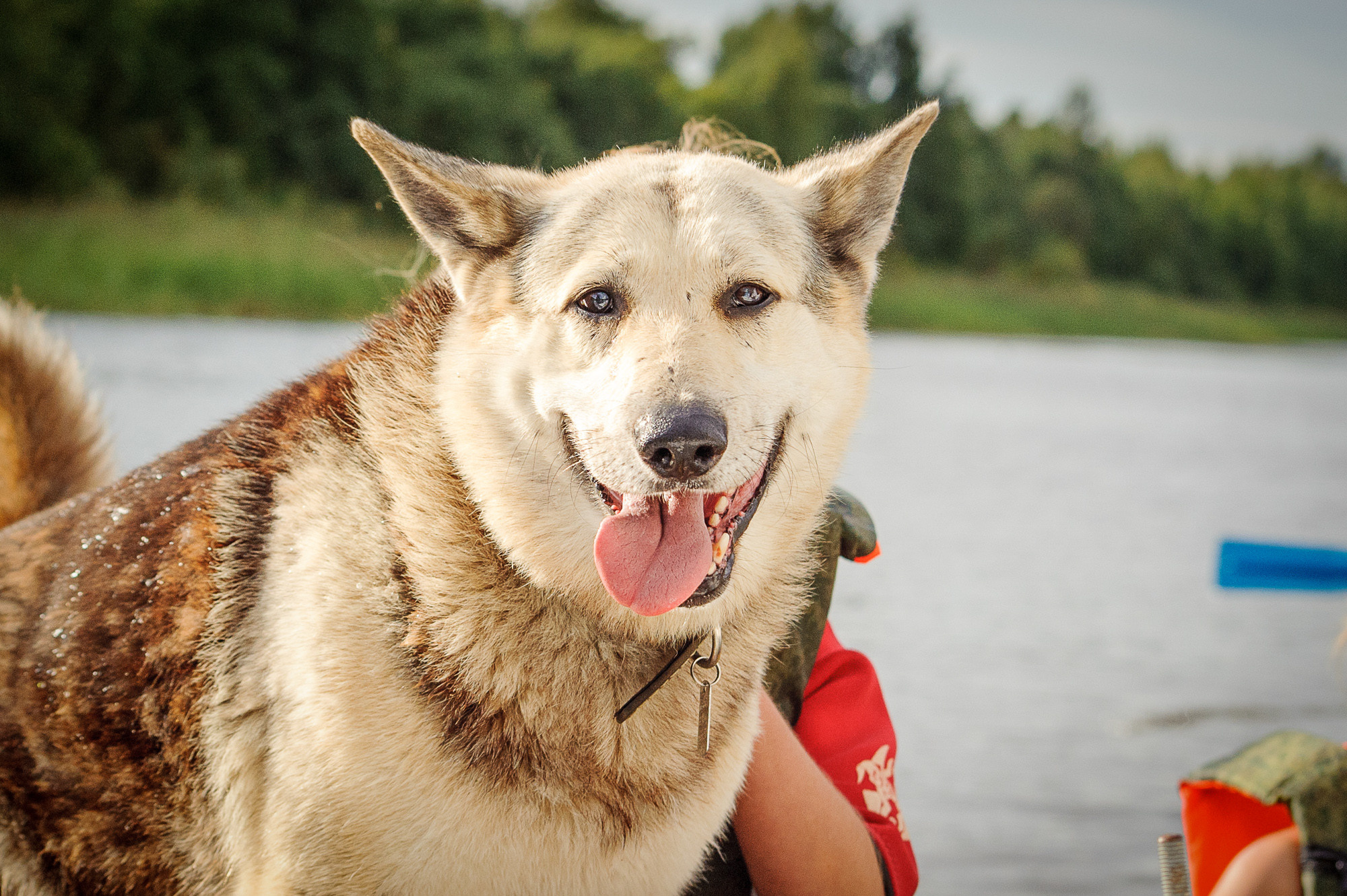 Репортажная съёмка (Тест). Фотограф Андрей Шереметьев. Репортажный, спортивный фотограф