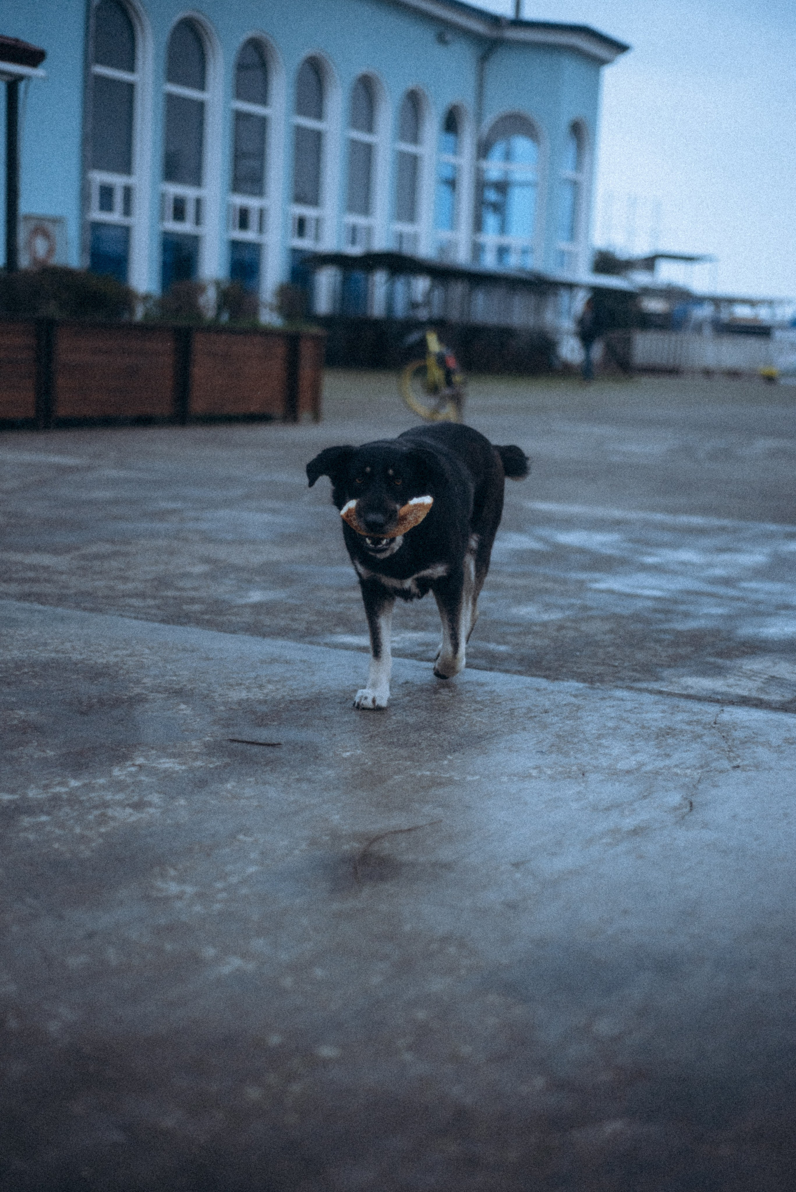 Батуми, Грузия🇬🇪. Anita_photo