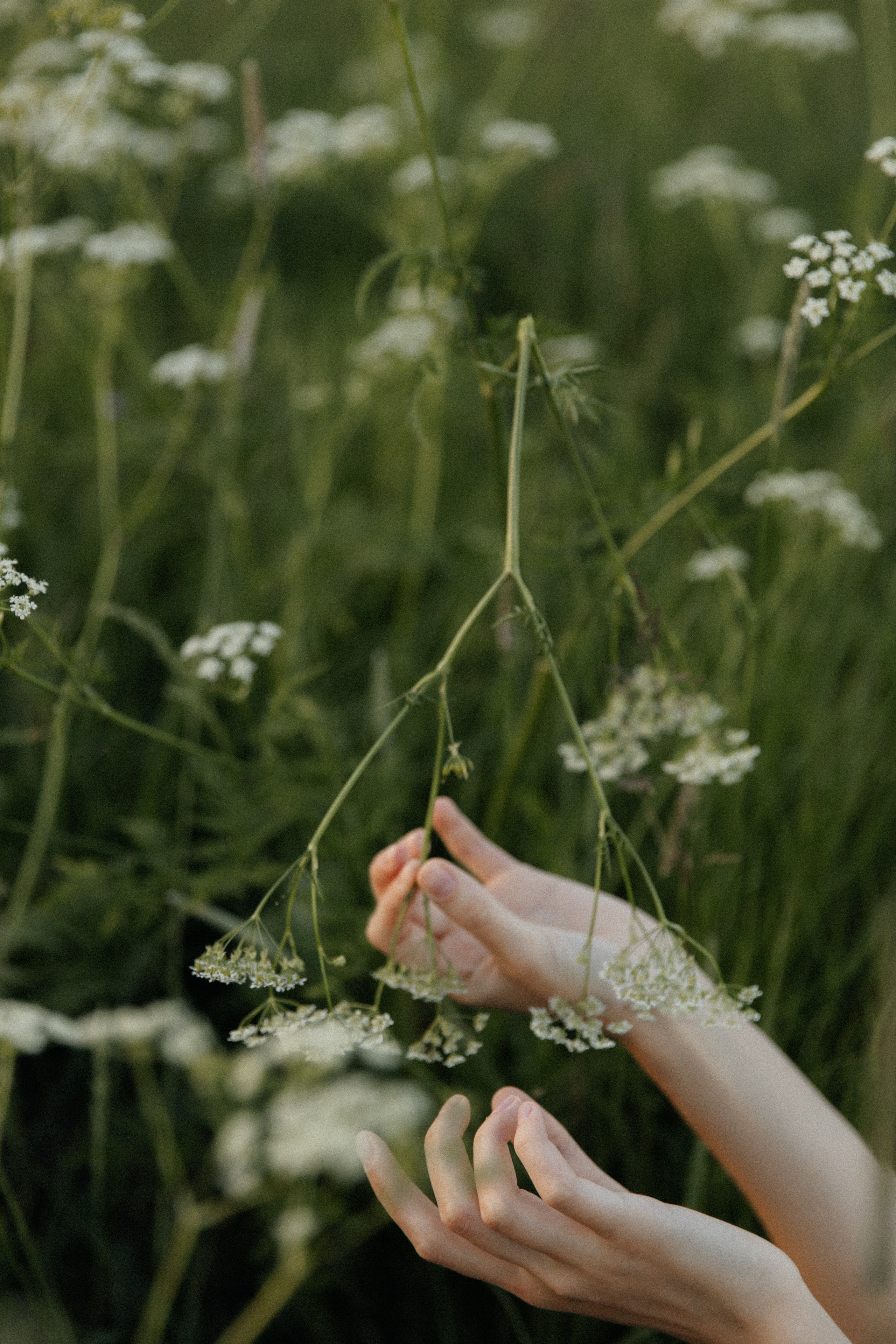 Яна. Фотограф Ульяна Дивина в Нижнем Новгороде и Нижегородской области