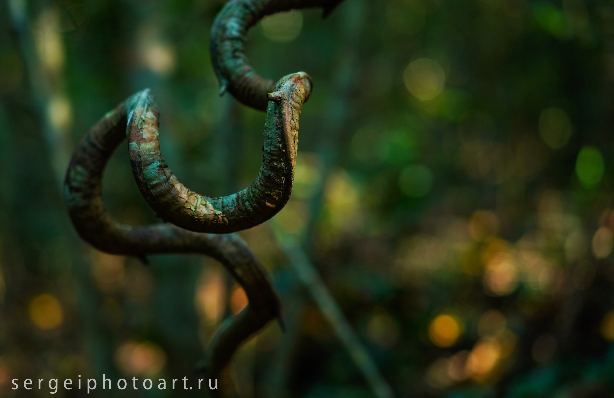 Остров Фукуок, Вьетнам. Фотограф Сергей Кишкель Дананг Нячанг Фукуок