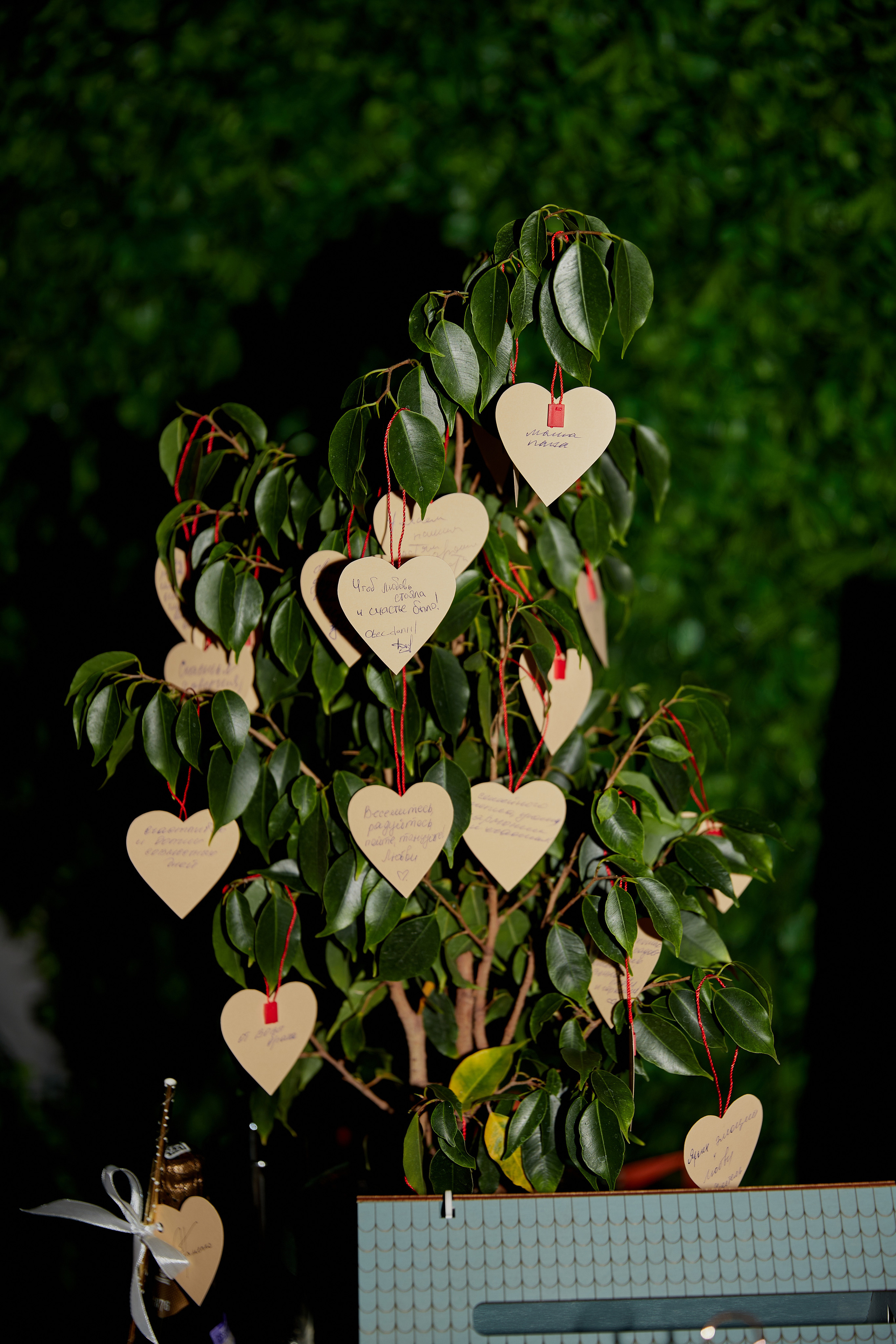 Свадьба Светланы и Владислава в Ростове. Фотосессии в Ростове-на-Дону. Мария Роскошная