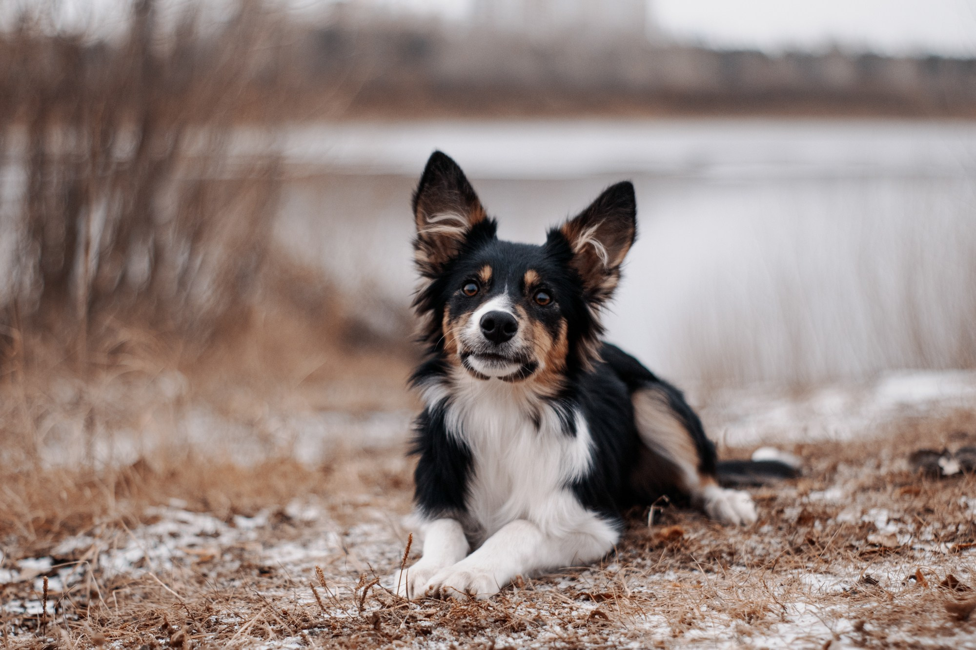 Ярослава и Ронда. Фотограф в Тюмени Лизавета Сапицкая
