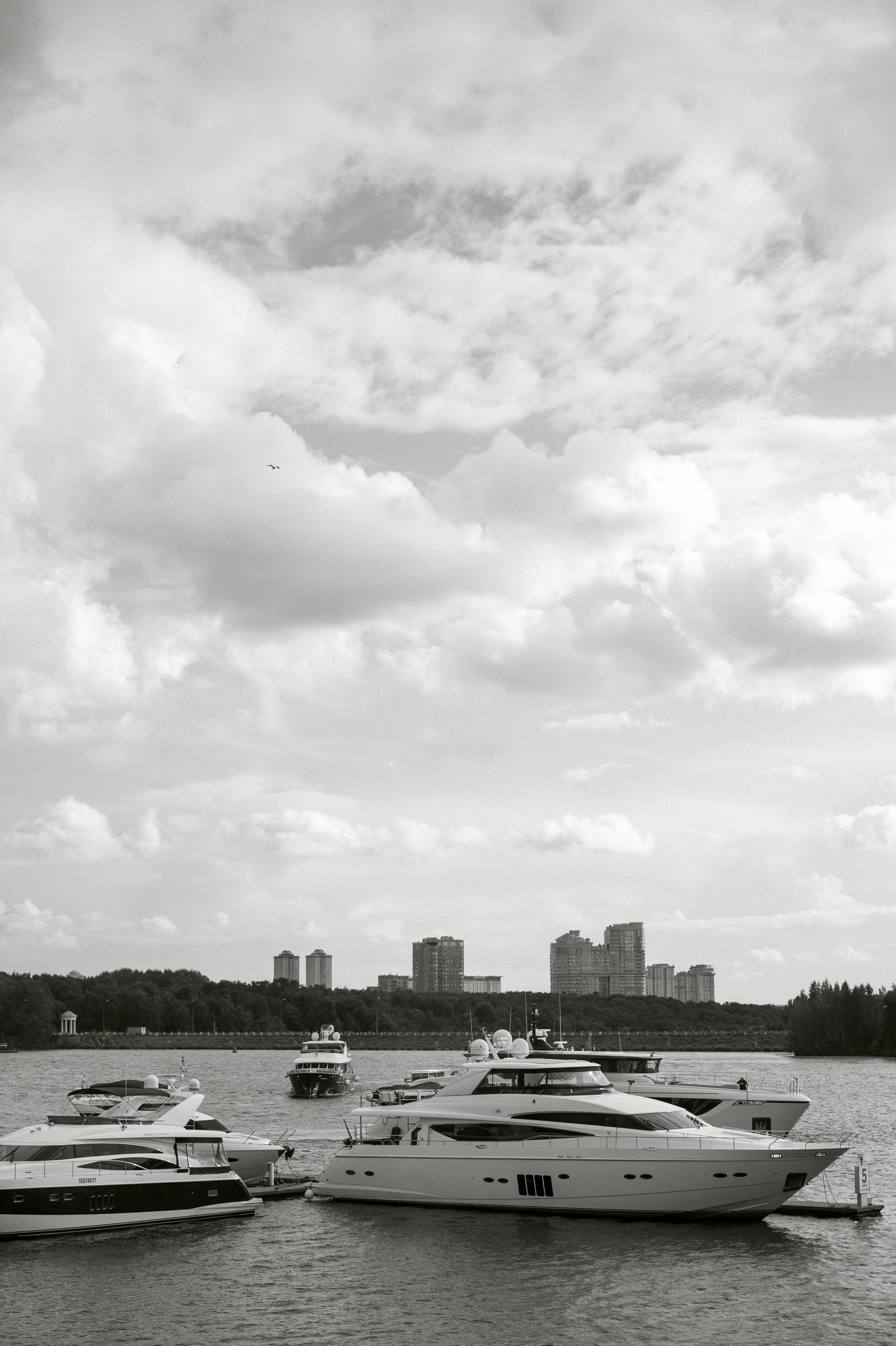 ПРОЙДУСЬ ПО ТЕБЕ МУРАШКАМИ. Фотограф Наталия Бирюкова