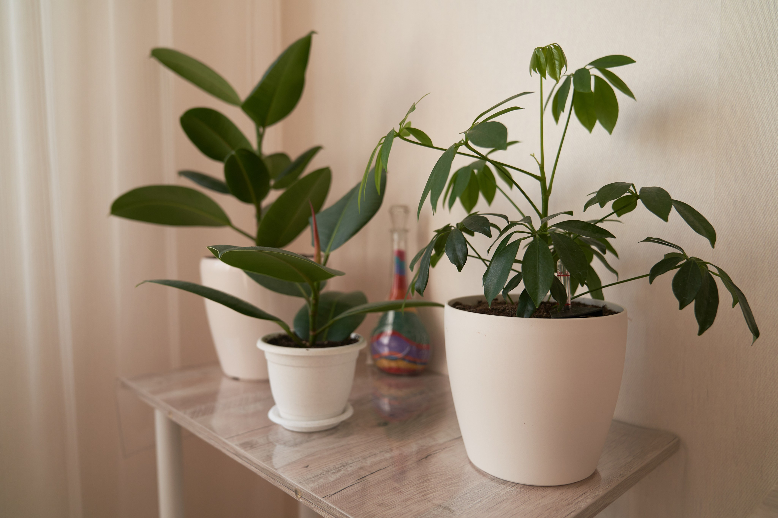 Дом Выборг. Сергей Горшенин — профессиональный фотограф